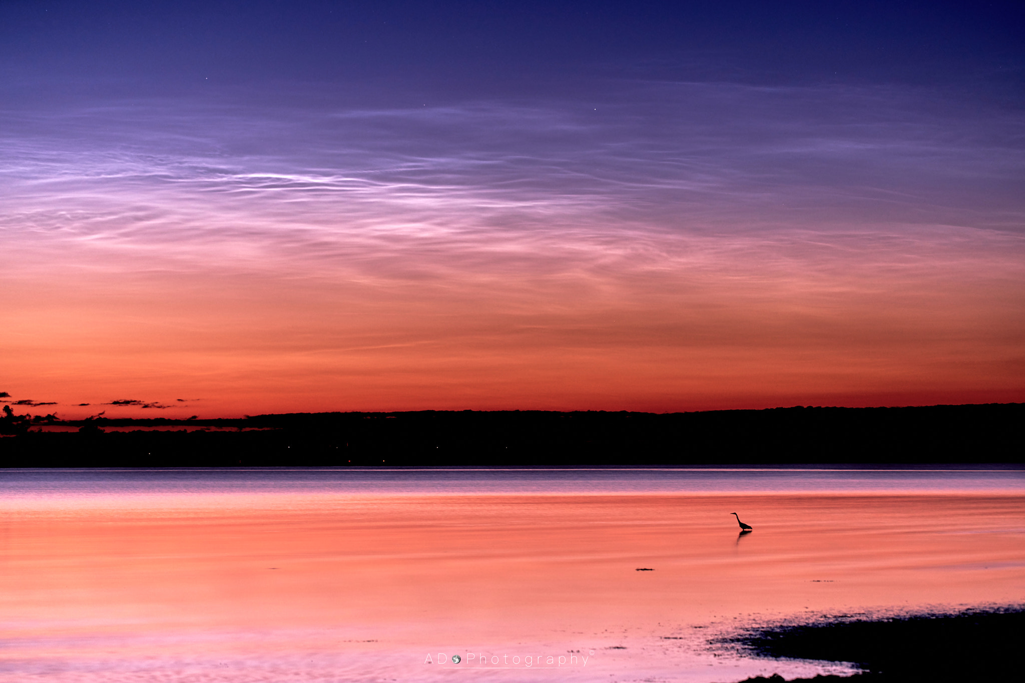 100mm F2.8 G SSM OSS sample photo. Heron and nlc photography