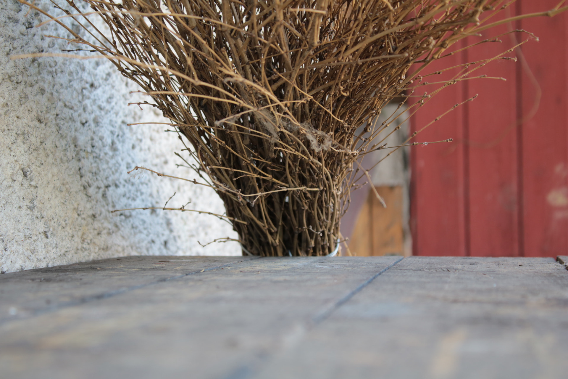 Canon EOS 750D (EOS Rebel T6i / EOS Kiss X8i) sample photo. Old photography