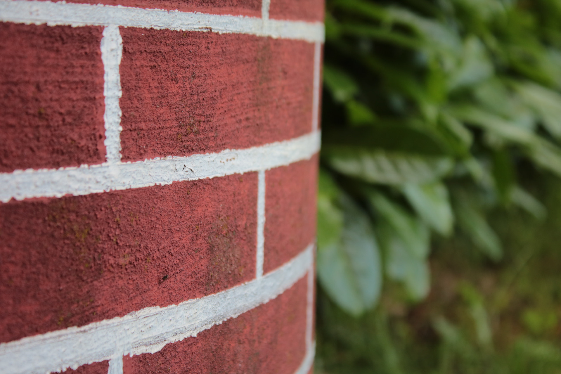 Canon EOS 750D (EOS Rebel T6i / EOS Kiss X8i) sample photo. Pozzo photography