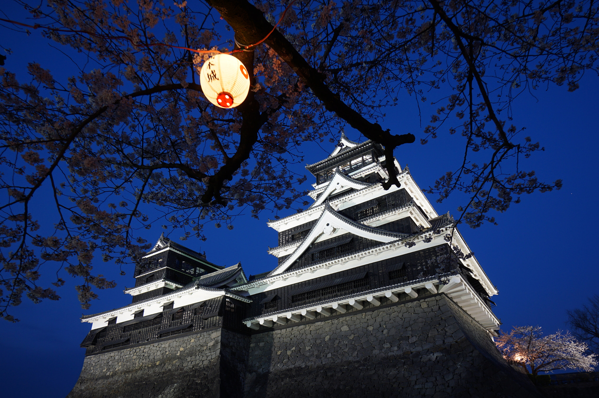 Sony a6000 + Sony E 10-18mm F4 OSS sample photo. Kumamoto castle photography