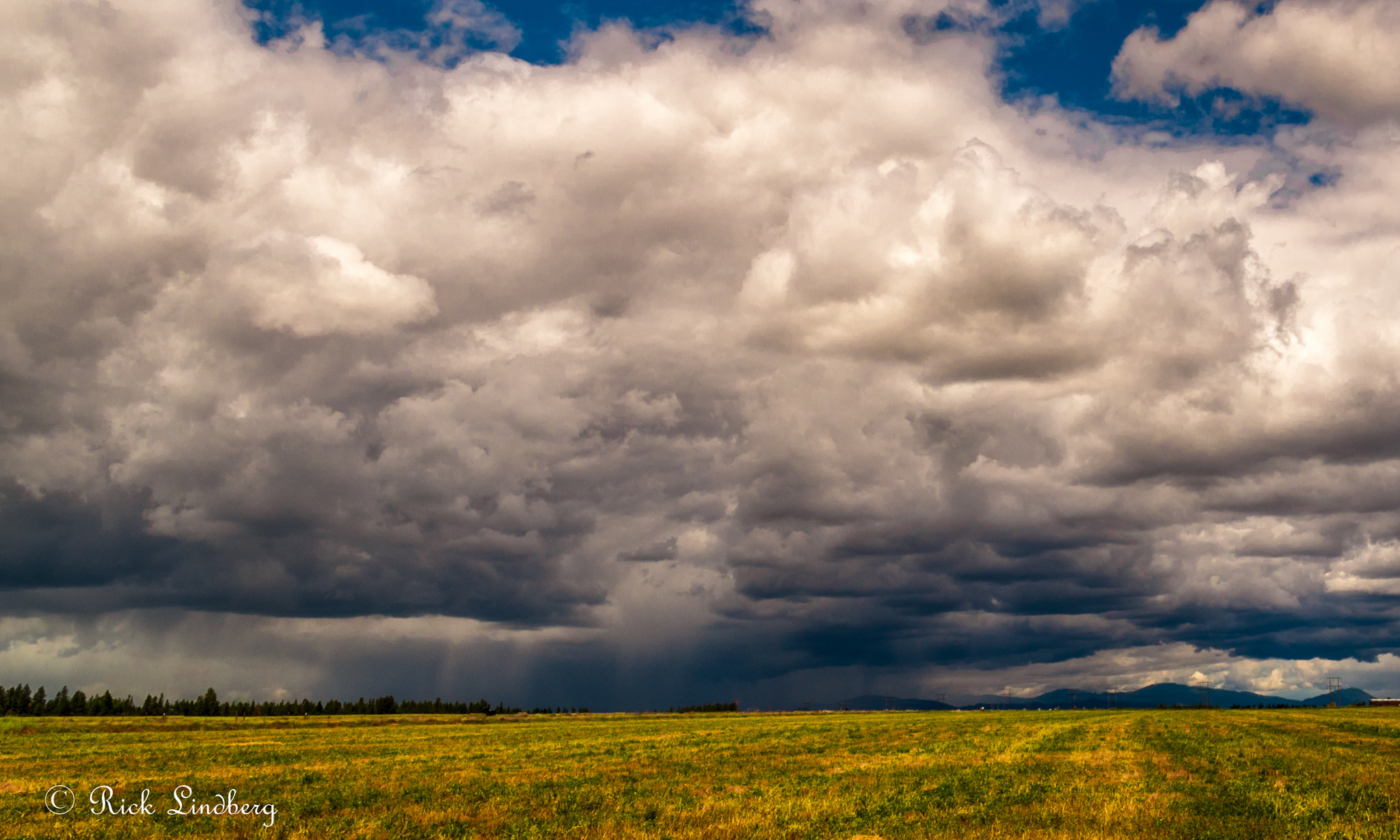 Pentax K-50 + A Series Lens sample photo. Down pour photography