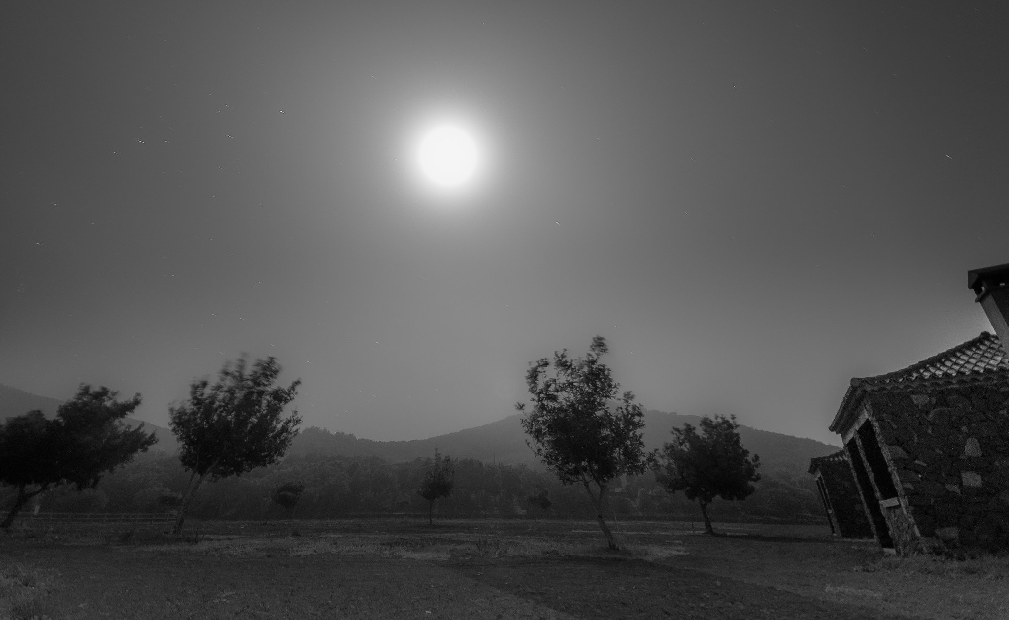 Sigma AF 10-20mm F4-5.6 EX DC sample photo. Moonshine la palma photography