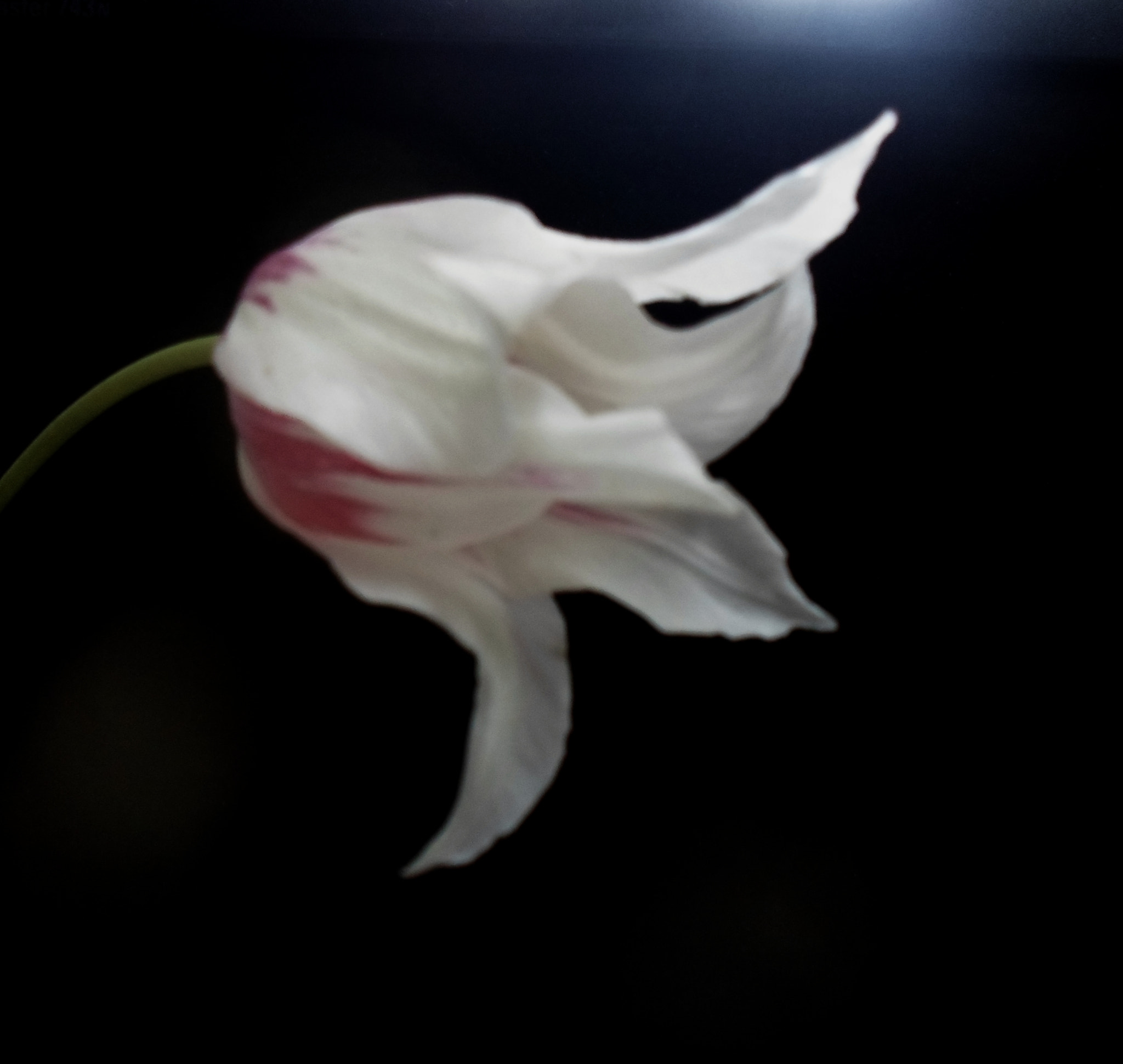 Samsung ST77 / ST79 sample photo. Sam_0736.jpg photography