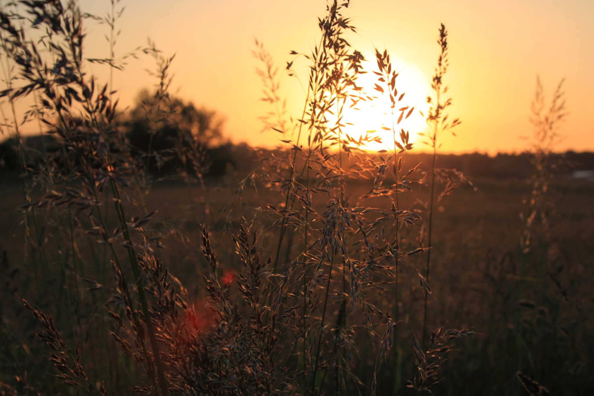 Canon EF-S 18-55mm F3.5-5.6 sample photo. Sunset in the countryside photography