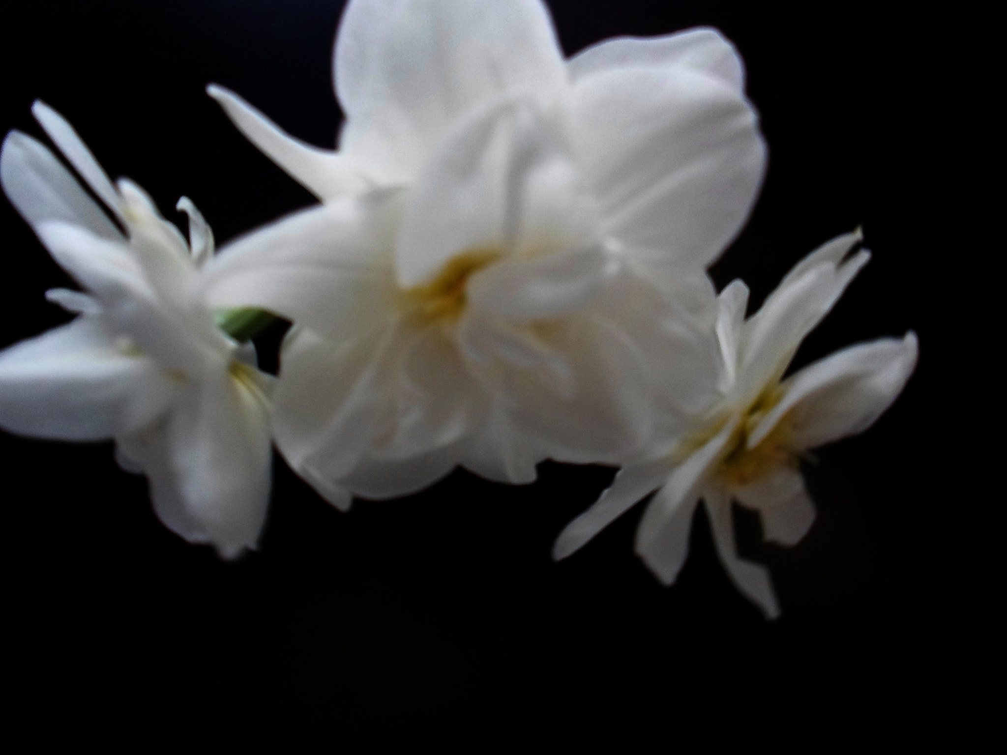Samsung ST77 / ST79 sample photo. Sam_0744.jpg photography