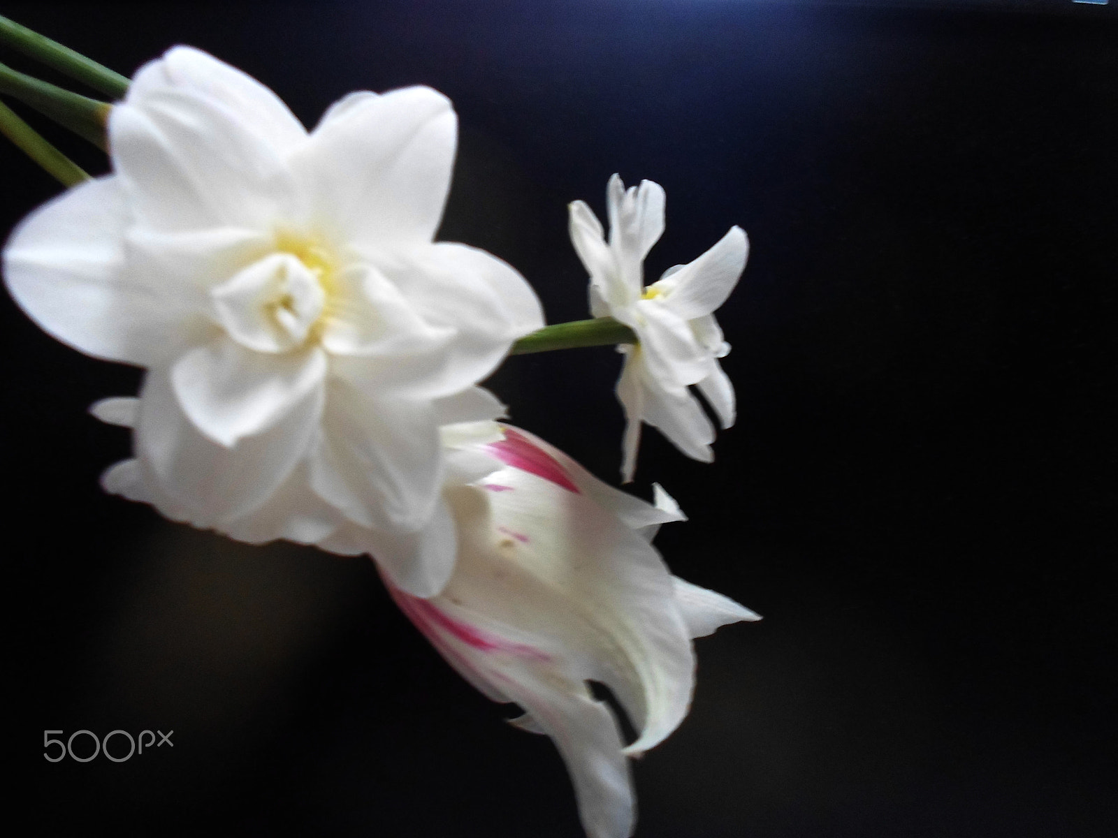 Samsung ST77 / ST79 sample photo. Sam_0745.jpg photography