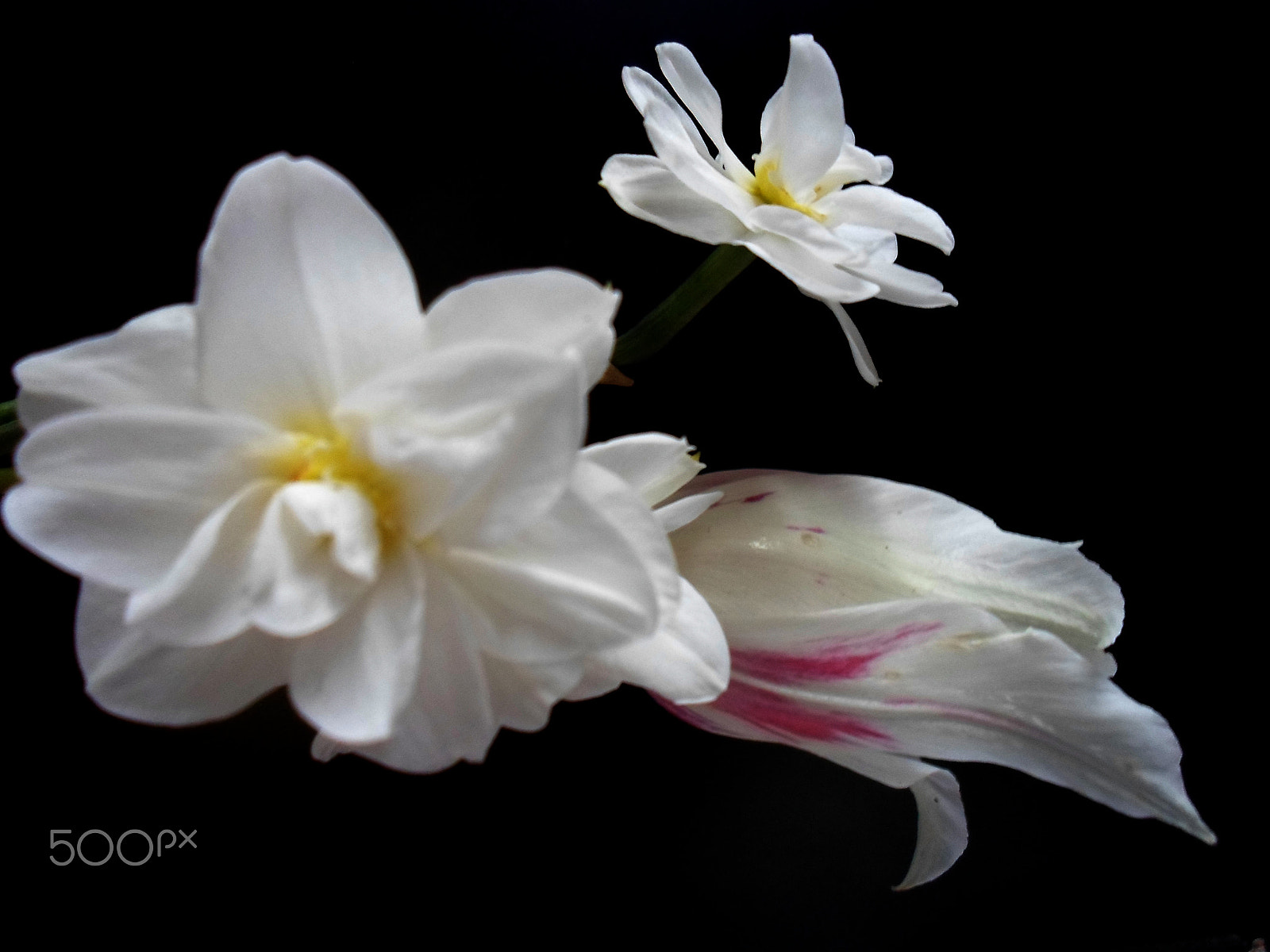 Samsung ST77 / ST79 sample photo. Sam_0746.jpg photography