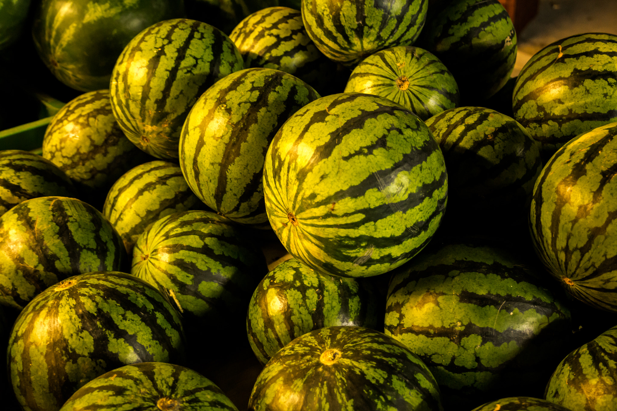 Canon EF-S 18-55mm F3.5-5.6 sample photo. Cocumber photography