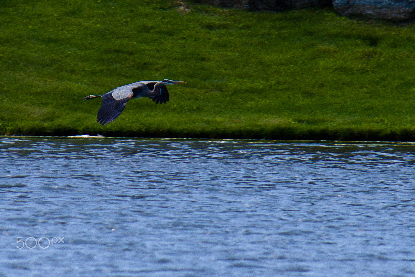Canon EF-S 55-250mm F4-5.6 IS sample photo. Peaceful photography