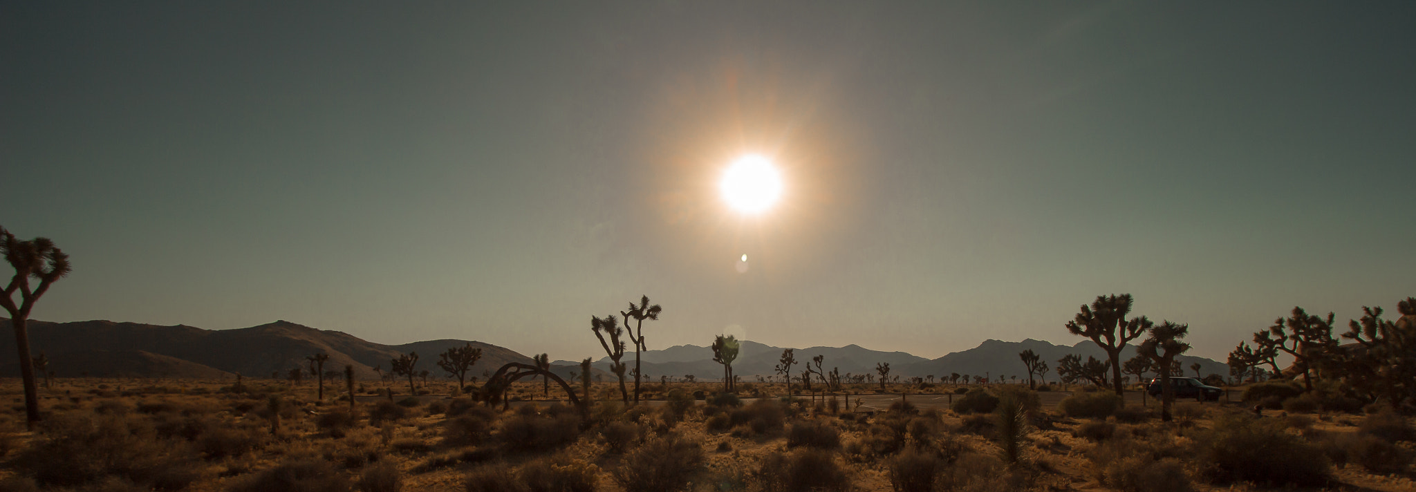 Canon EF-S 10-18mm F4.5–5.6 IS STM sample photo. Second brief  visit to joshua tree national park photography