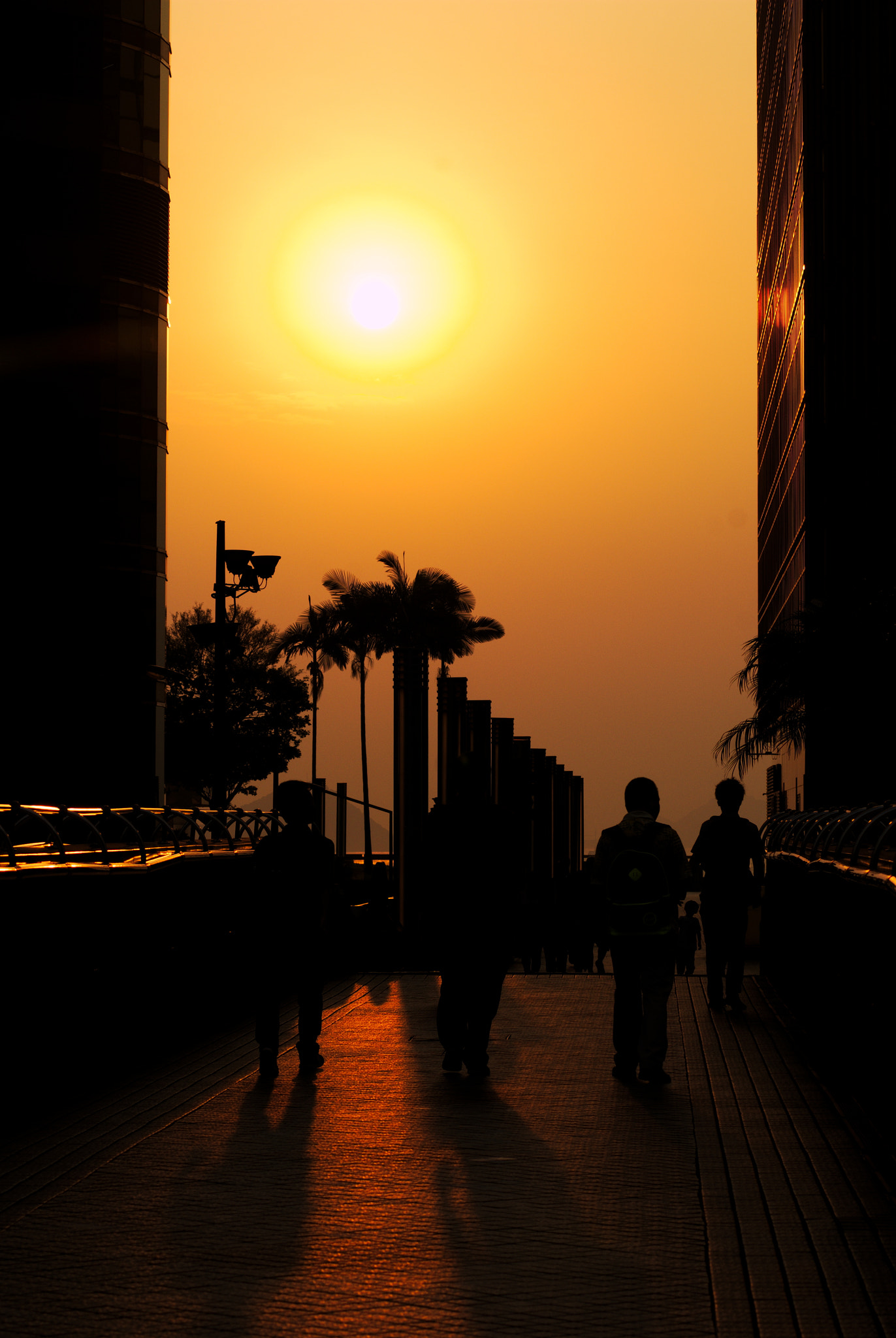 AF Zoom-Nikkor 75-300mm f/4.5-5.6 sample photo. Dawn photography