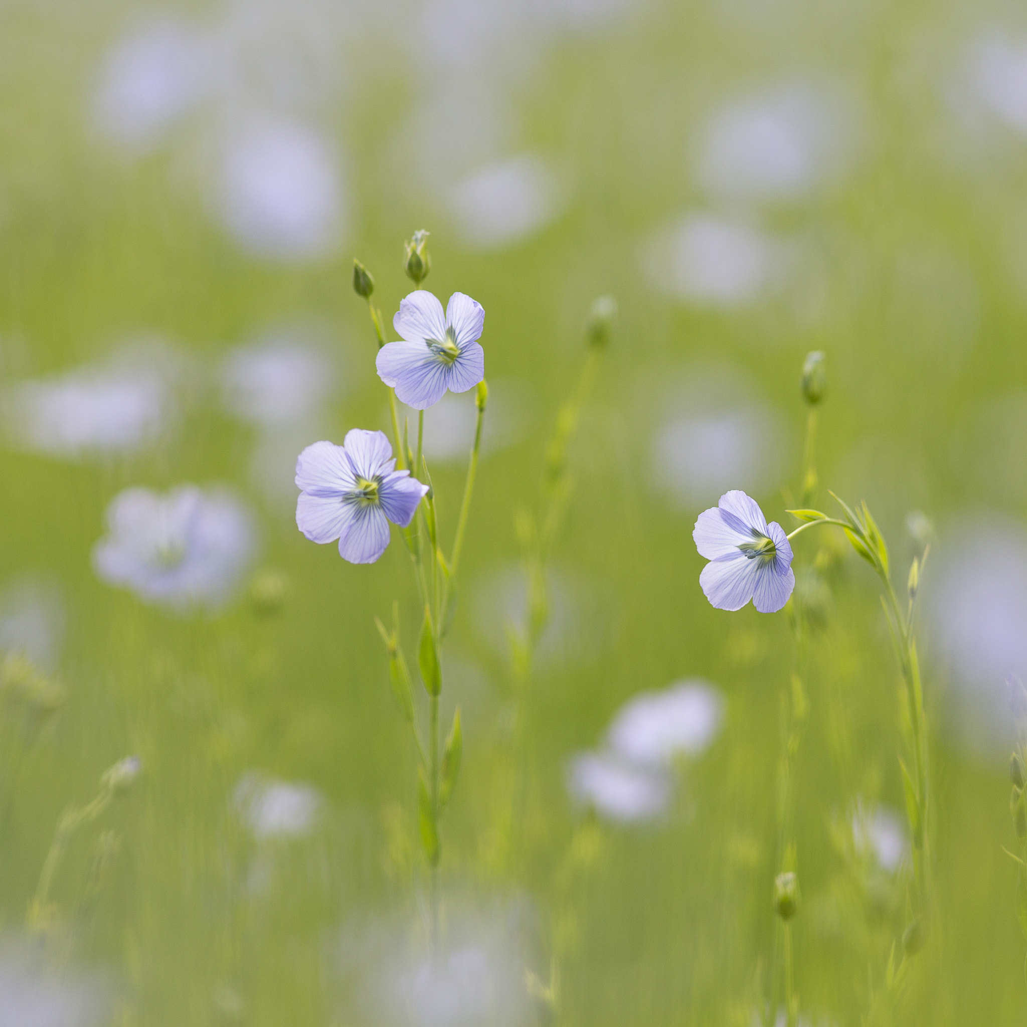 v2?sig=255060341387c4cfa4efabca83e5e6c024e9388b0055be5b41447eb9e05a67bf