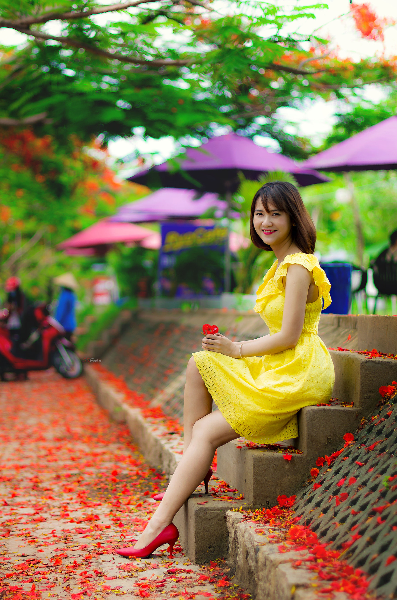 Pentax smc DA* 55mm F1.4 SDM sample photo. Ms quý photography