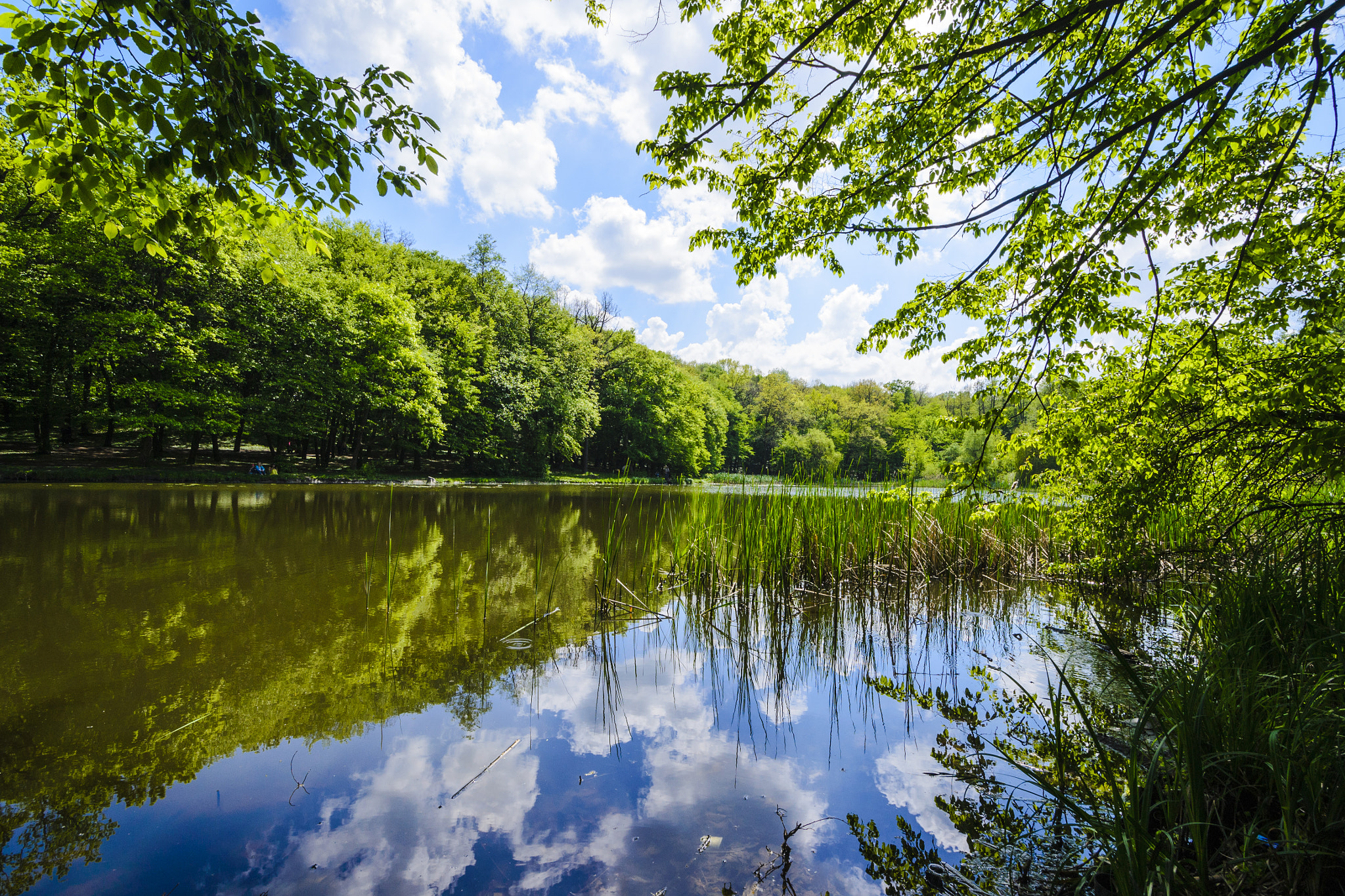 Nikon D3100 sample photo. The spring in kyiv photography