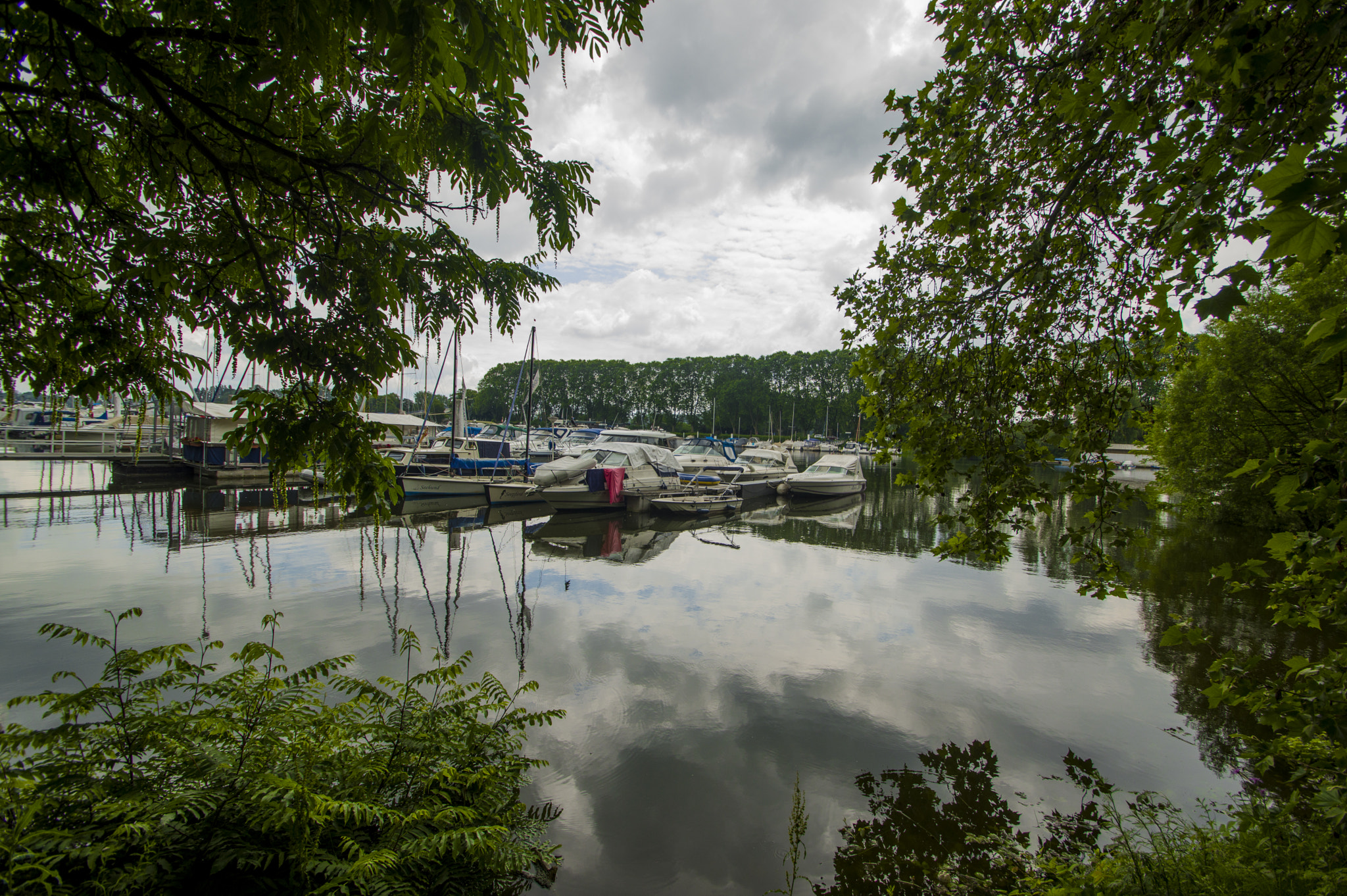 Pentax K-3 sample photo. In the schiersteiner harbor photography