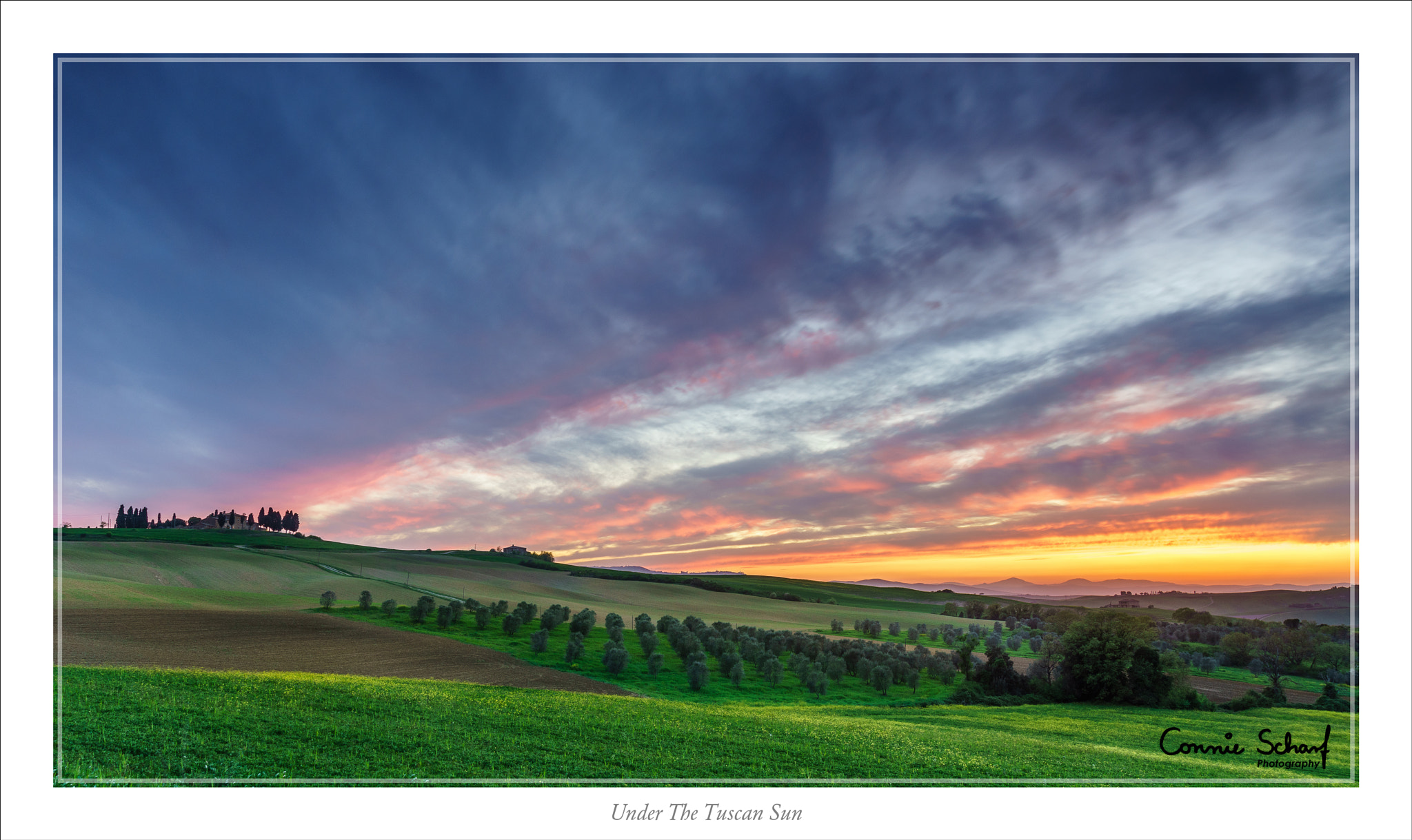 Sony a99 II + 24-105mm F4 sample photo. Under the tuscan sun photography