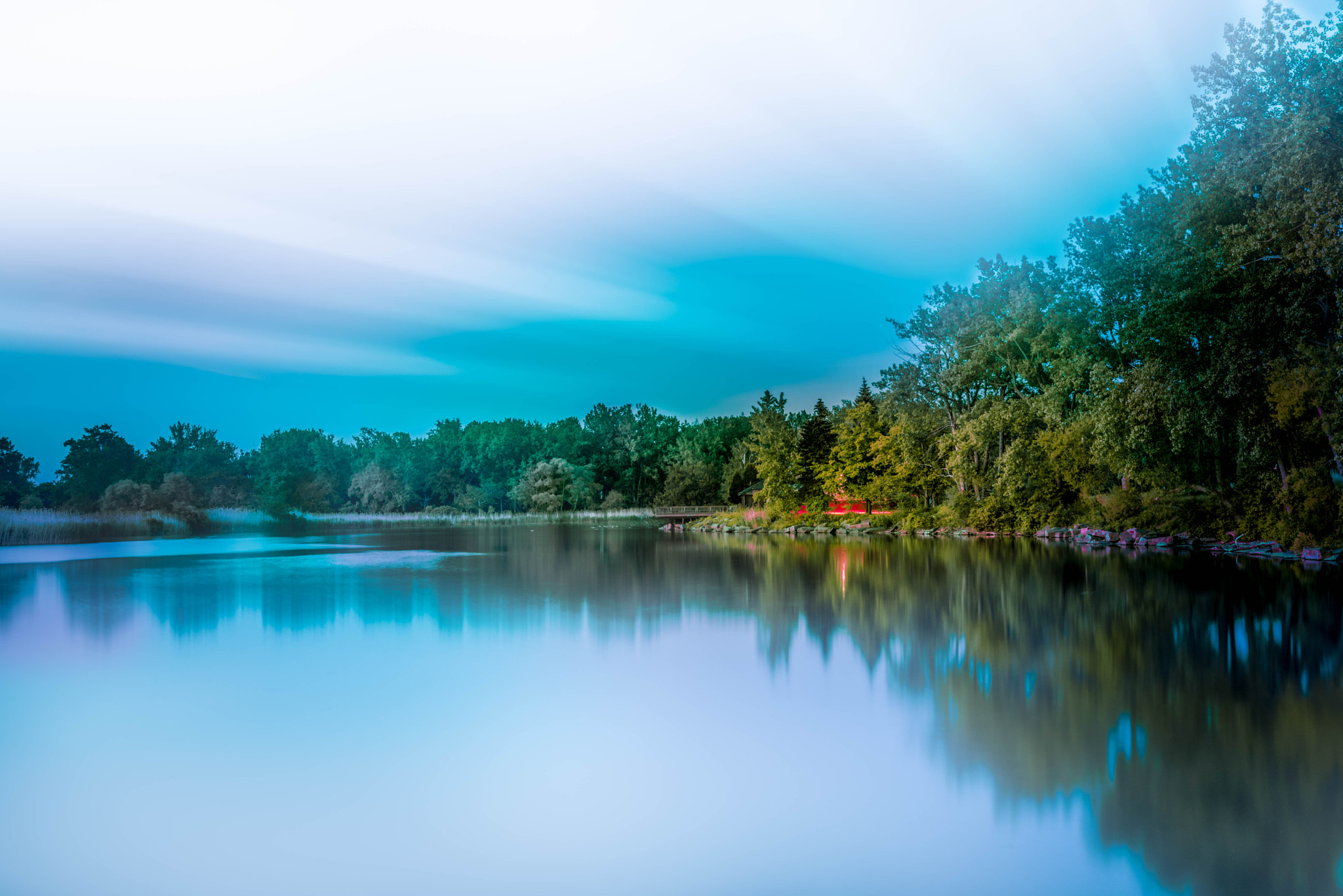 Samyang 35mm F1.4 AS UMC sample photo. Tifft nature preserve photography