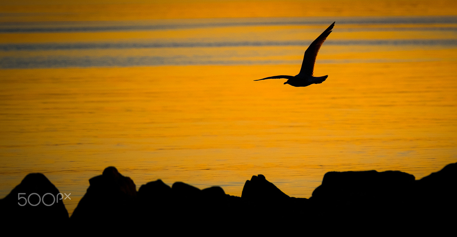 Fujifilm X-T1 + XF50-140mmF2.8 R LM OIS WR + 1.4x sample photo. Edit photography