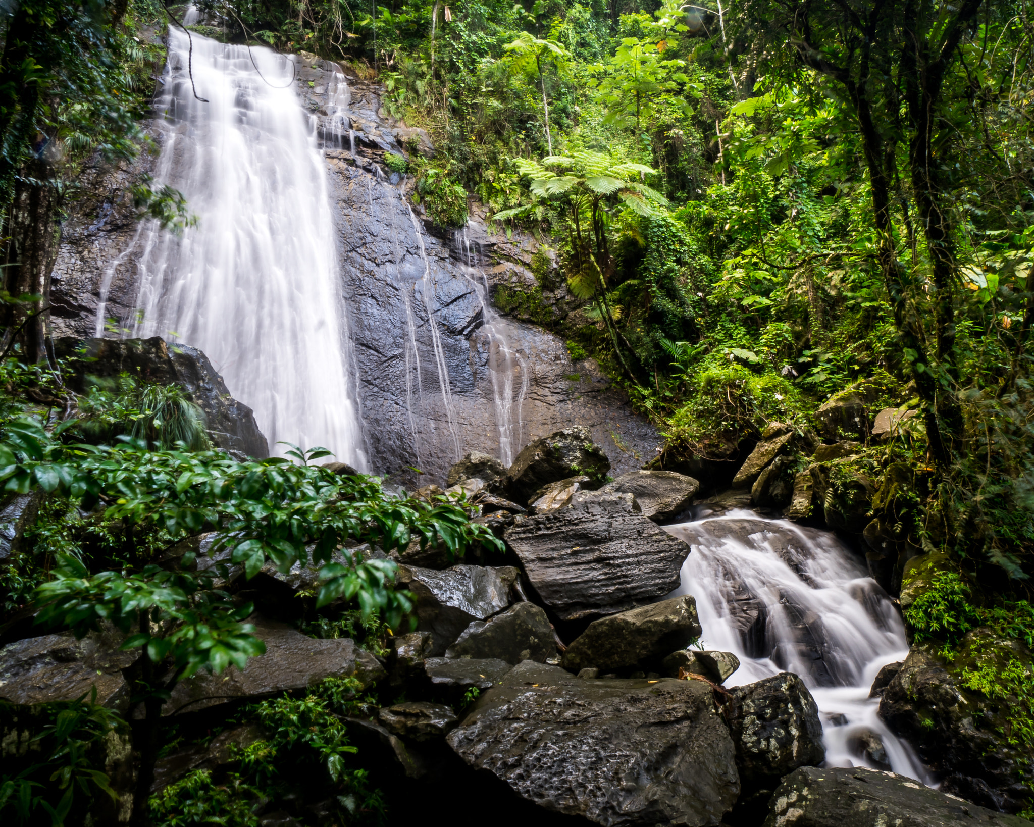 Sony a7R + Sony E 10-18mm F4 OSS sample photo. Rainforest waterfall photography