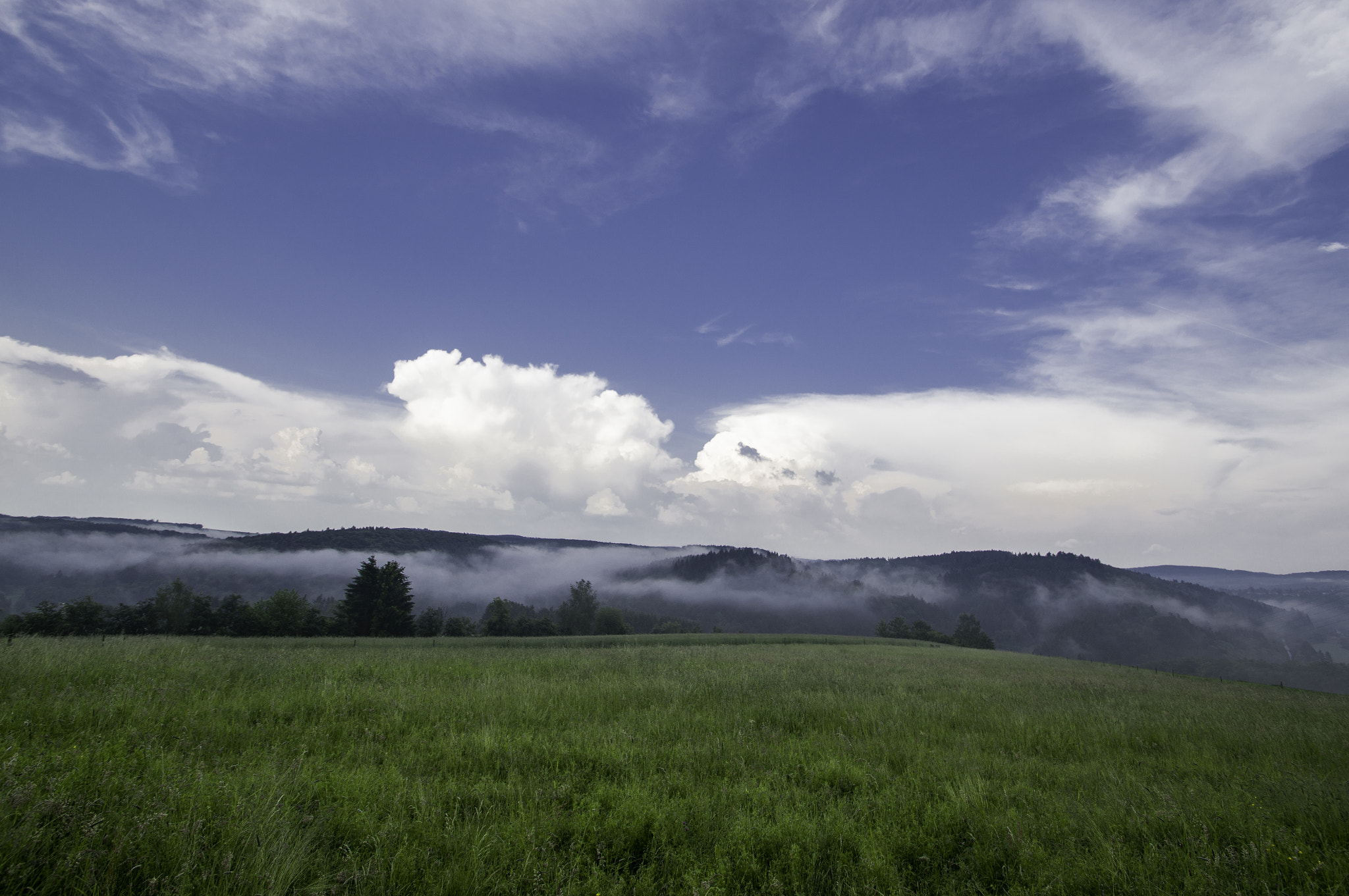 Pentax K-3 sample photo. After the rain photography