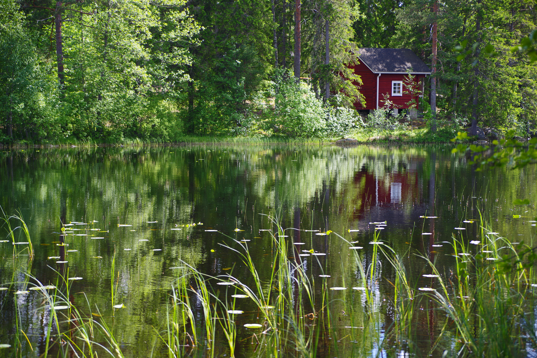 Pentax K-1 sample photo. It's summer in finland photography