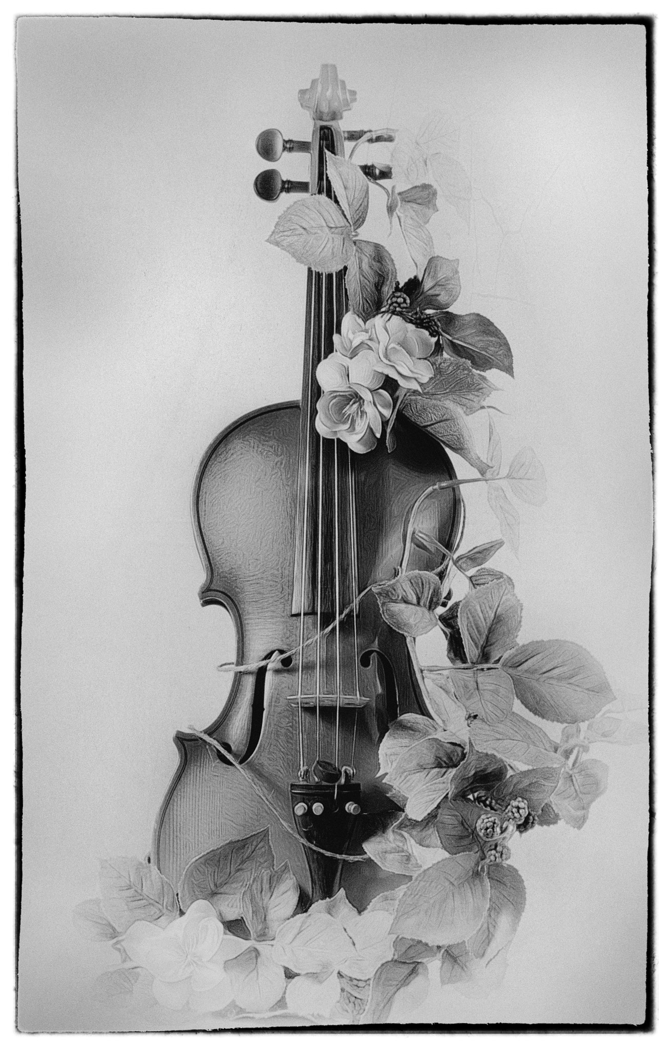 Canon EF 24-70mm F4L IS USM sample photo. Violin bw photography