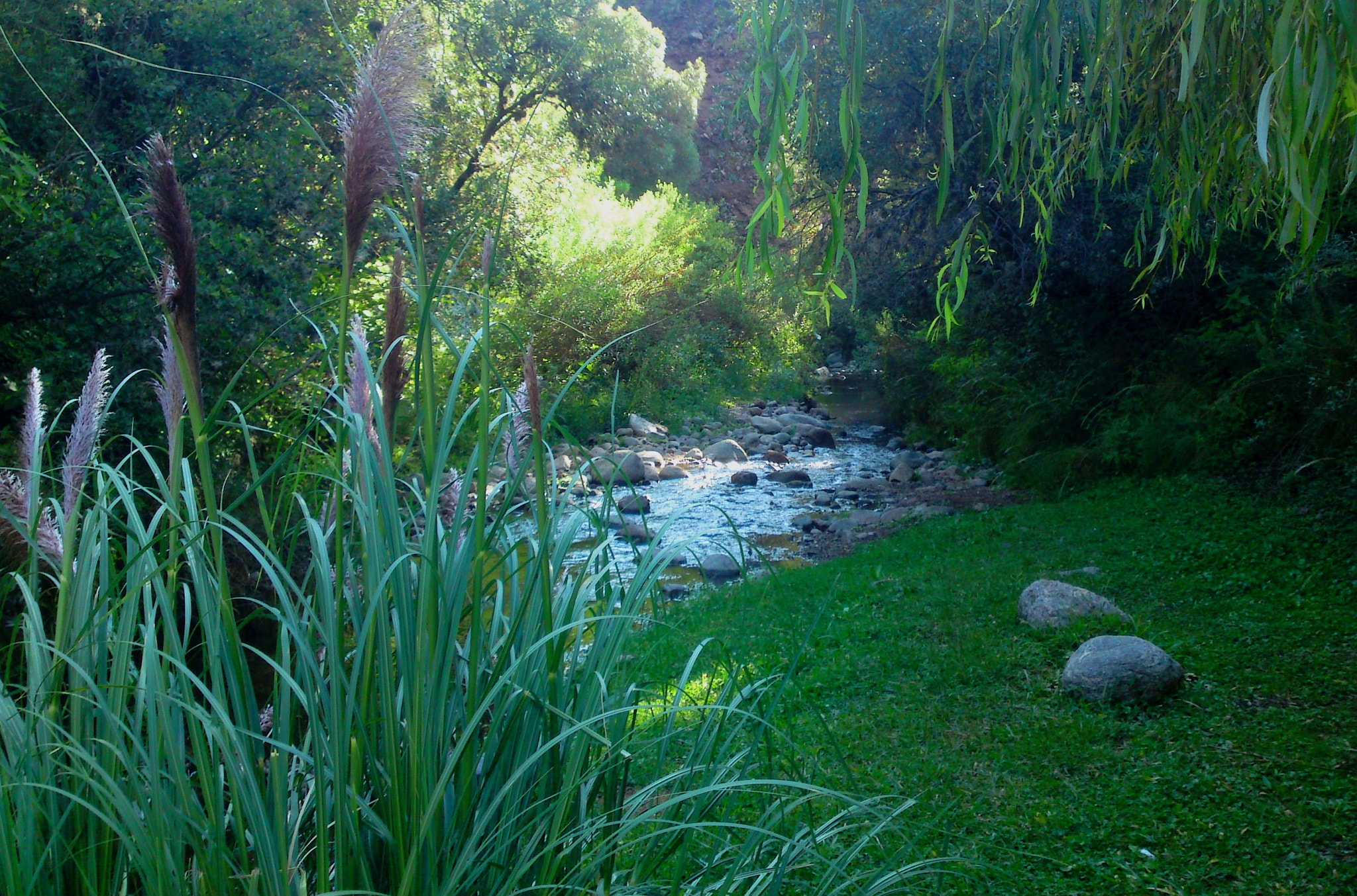 Sony Ericsson C905 sample photo