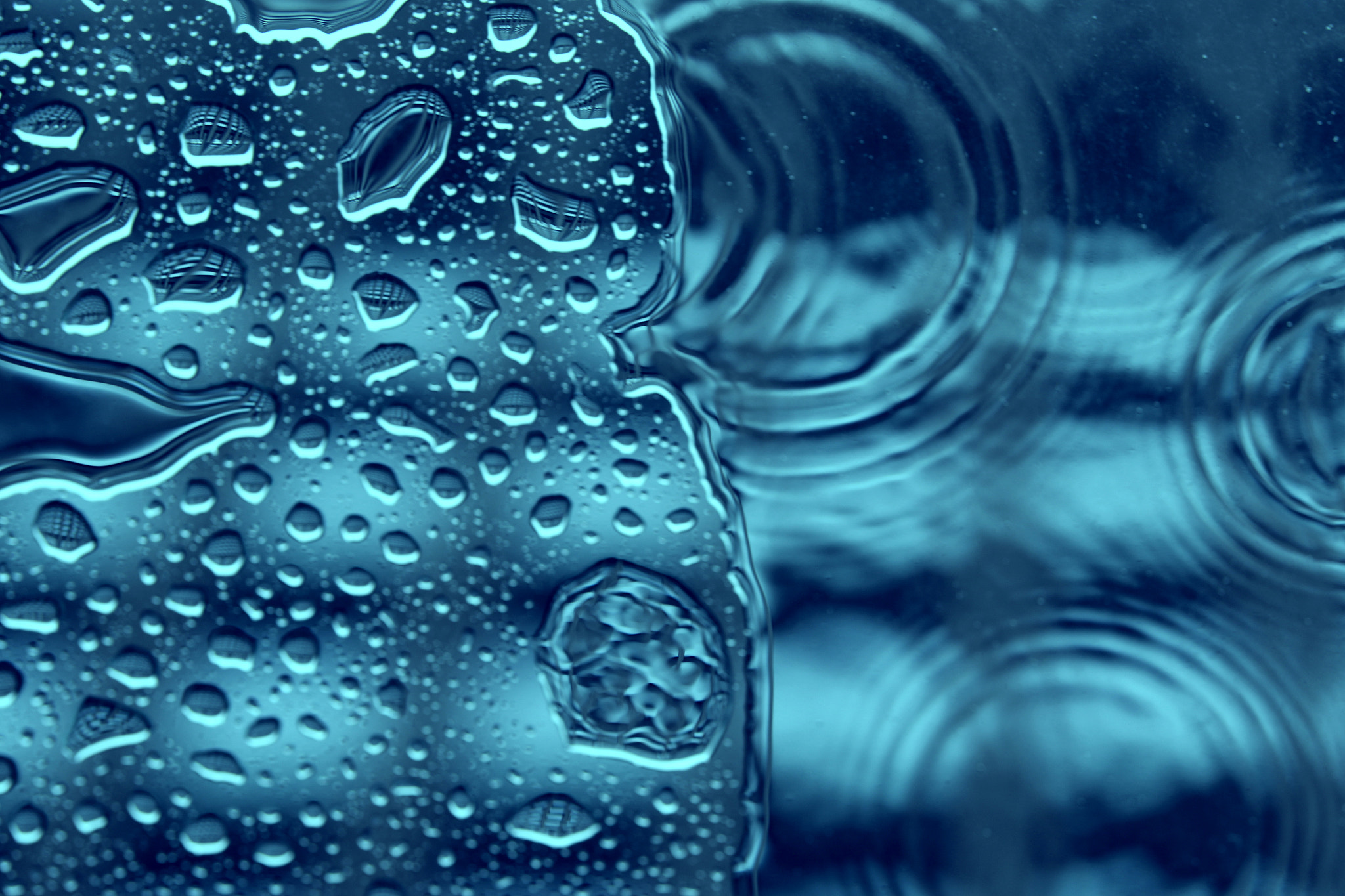 Sigma 50-100mm F1.8 DC HSM Art sample photo. Microcosm in a drop of water photography