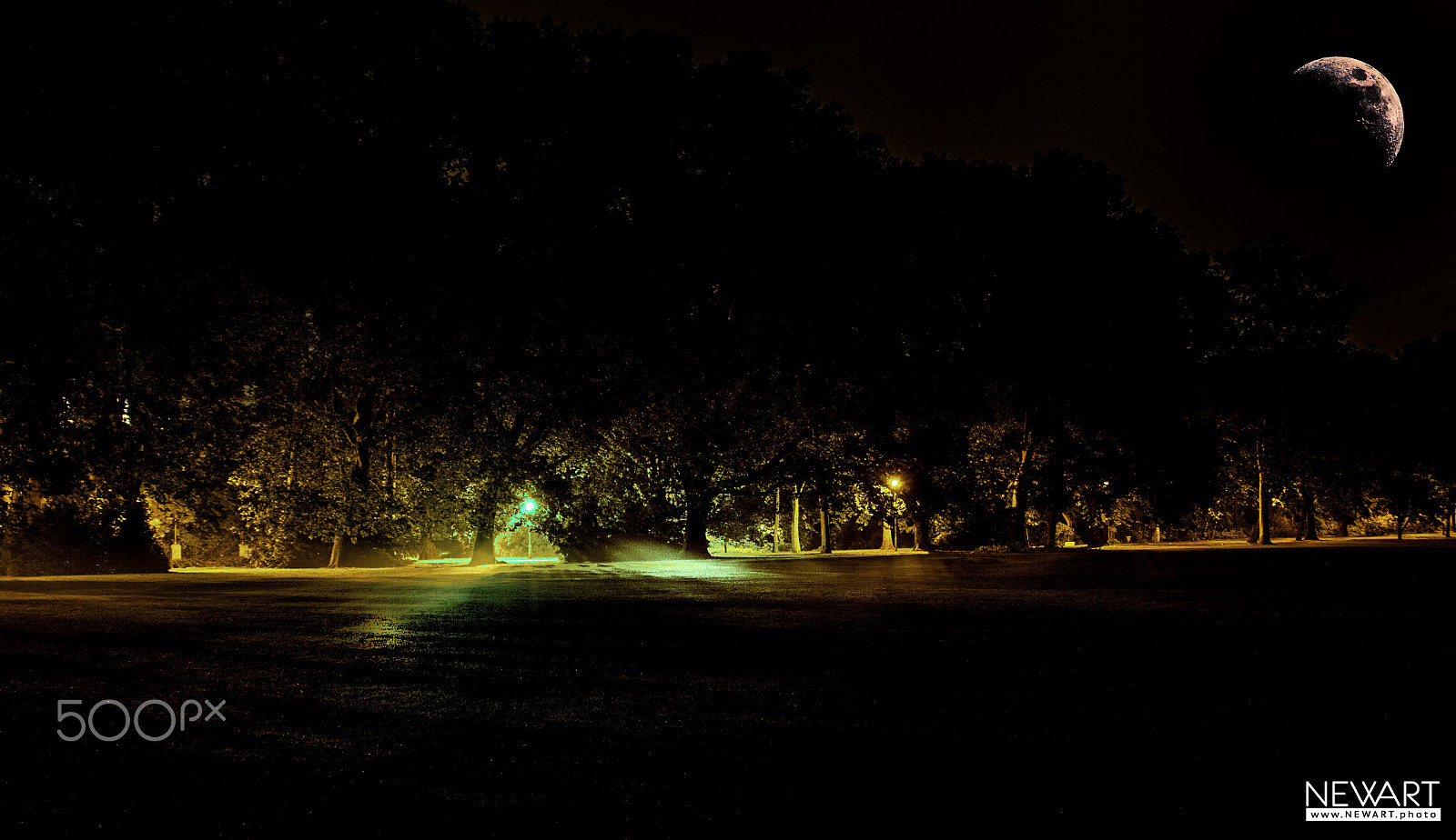 Canon EOS-1Ds Mark II sample photo. Half gloom photography
