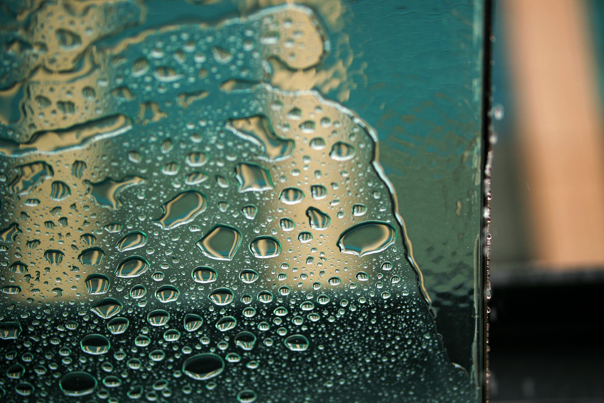 Sigma 50-100mm F1.8 DC HSM Art sample photo. Microcosm in a drop of water photography
