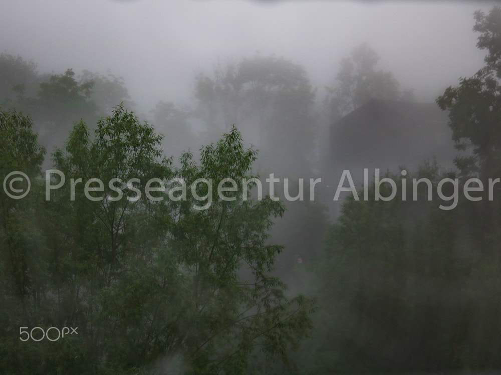 Canon EOS 760D (EOS Rebel T6s / EOS 8000D) sample photo. 2016-06-04 schwanenfamilie fulda auen photography
