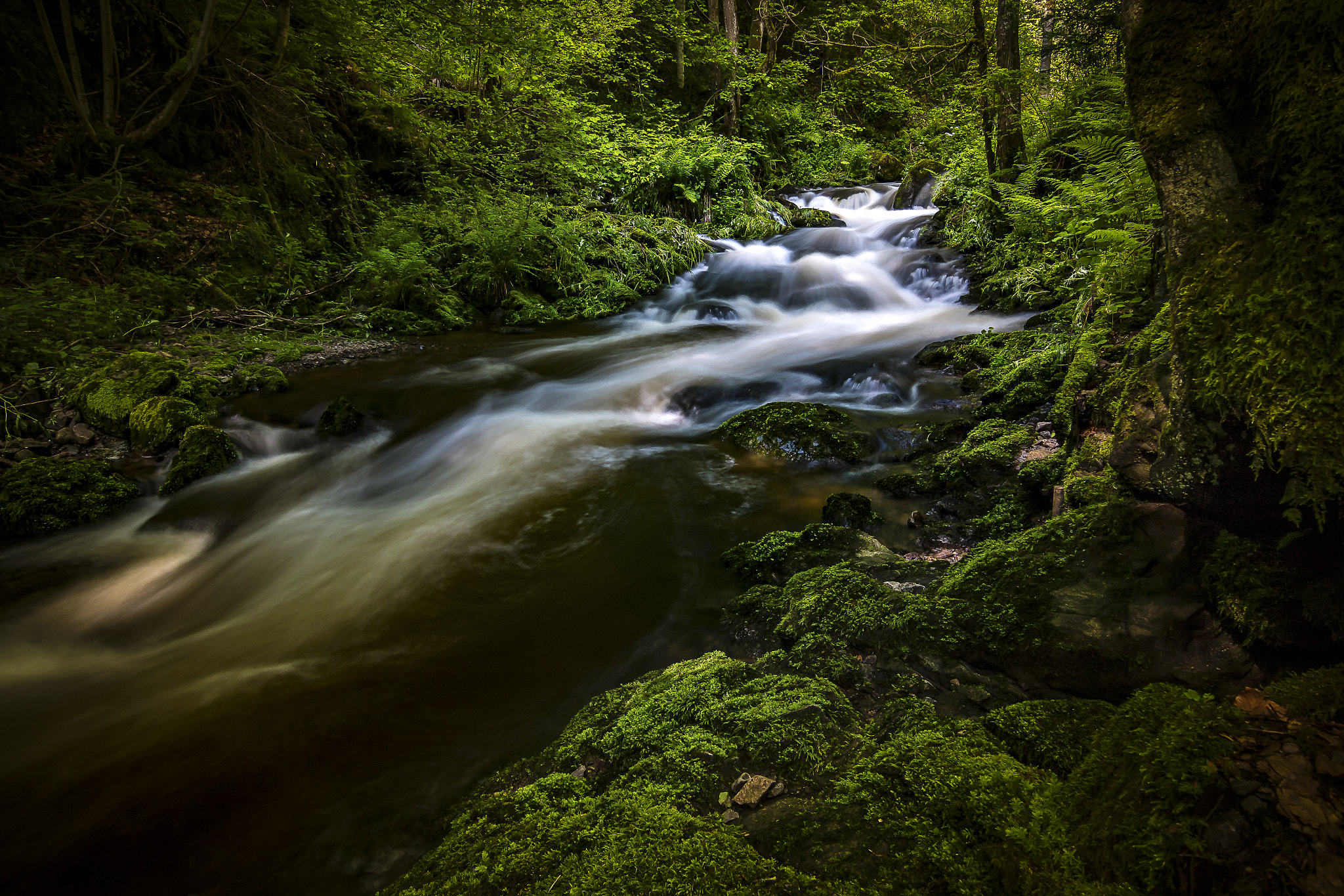 Tokina AT-X Pro 12-24mm F4 (IF) DX sample photo. Ravenna photography