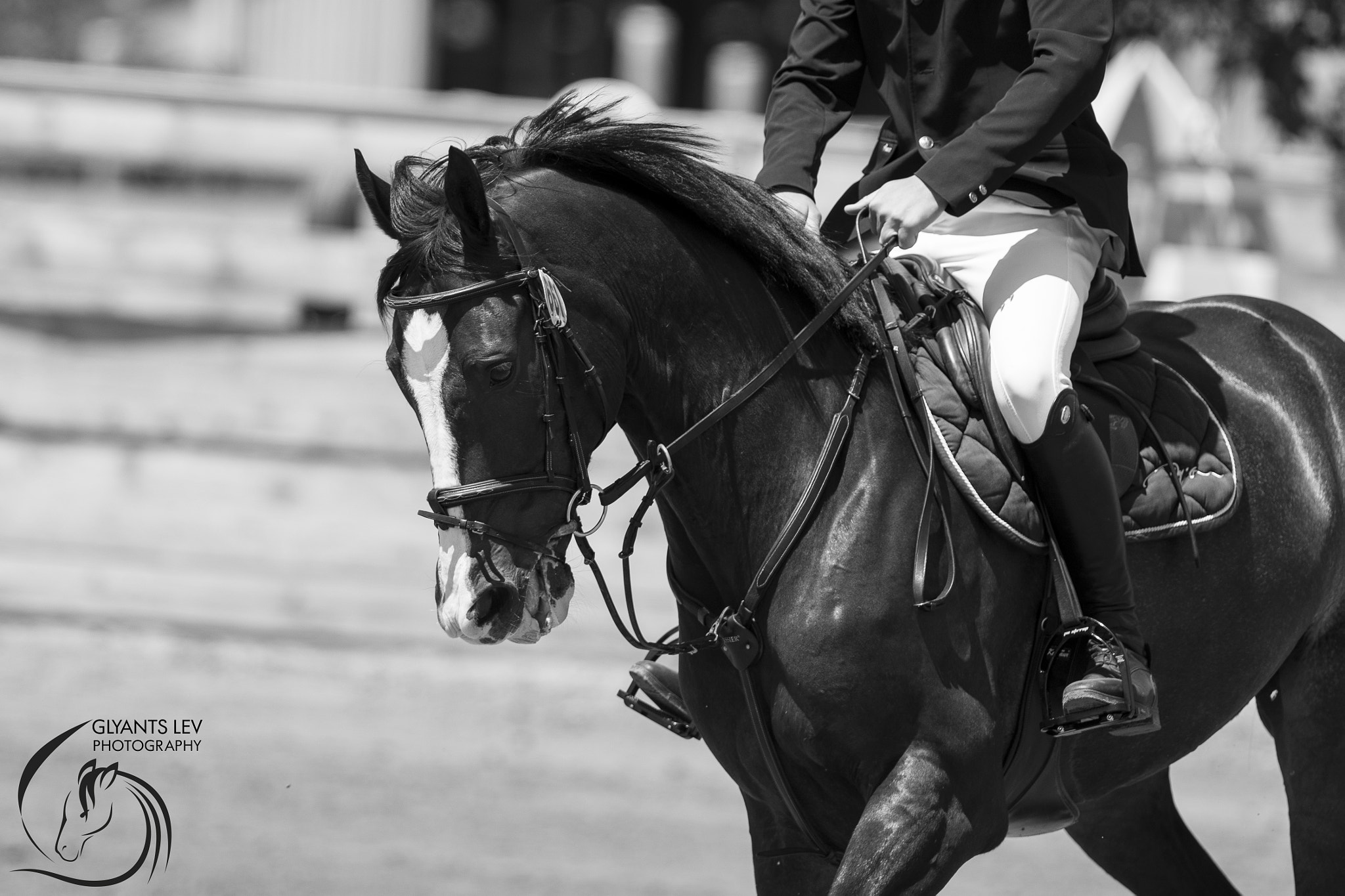 Nikon AF-S Nikkor 300mm F2.8G ED-IF VR sample photo. Bw photography