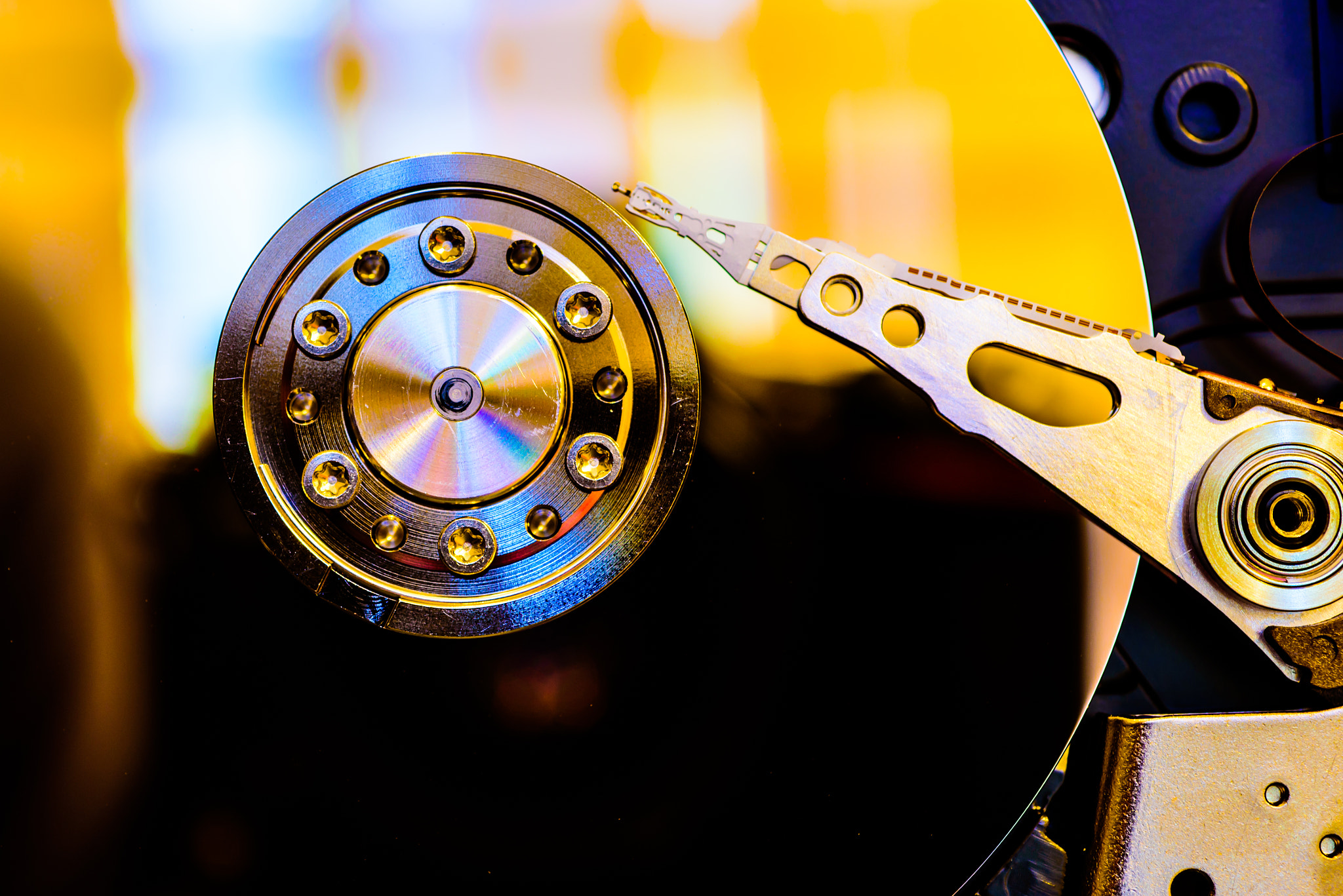 Nikon D750 + AF Micro-Nikkor 60mm f/2.8 sample photo. One last spin photography