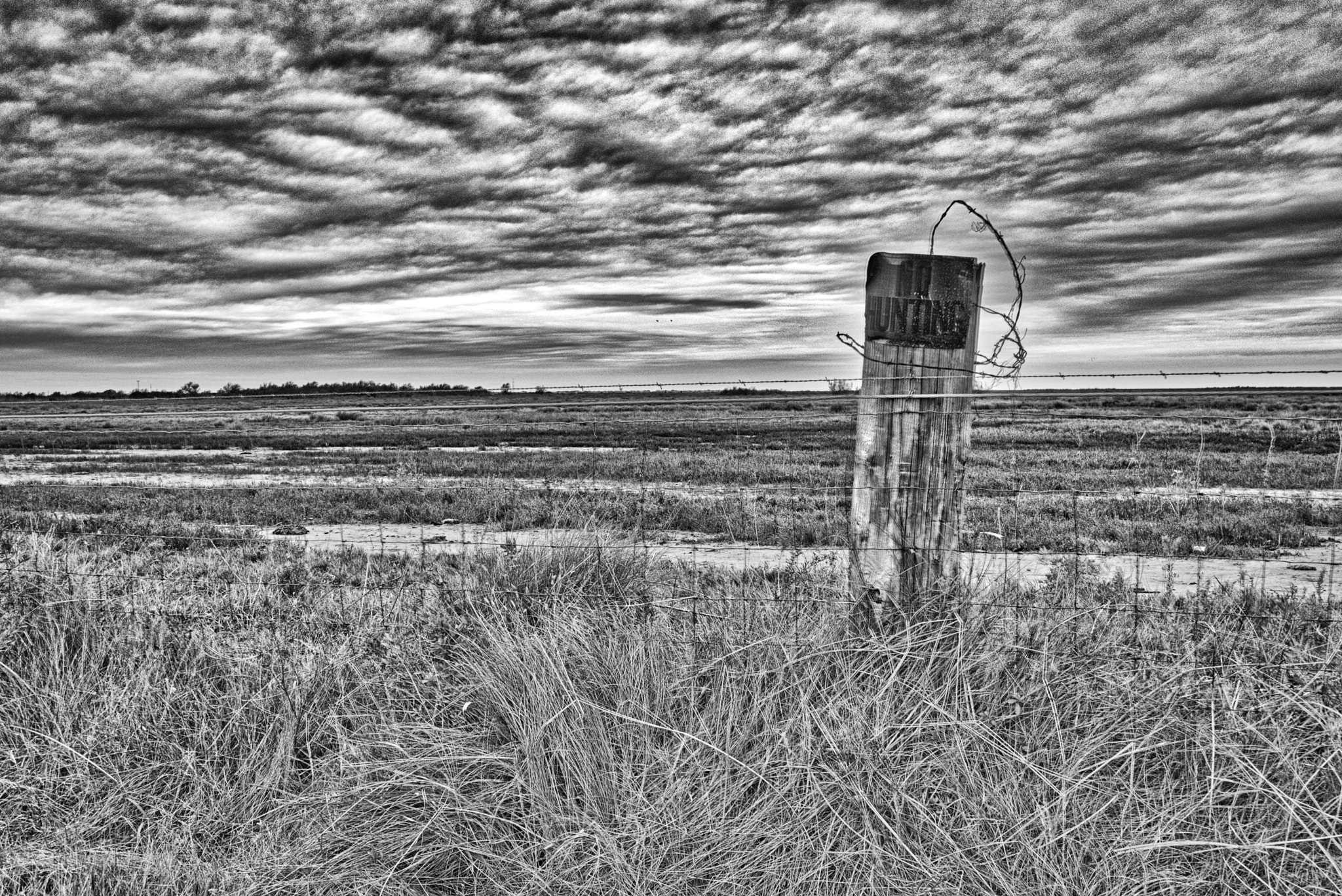 Sony SLT-A77 + Sigma 17-70mm F2.8-4.5 (D) sample photo. Texas landscape no 26 photography