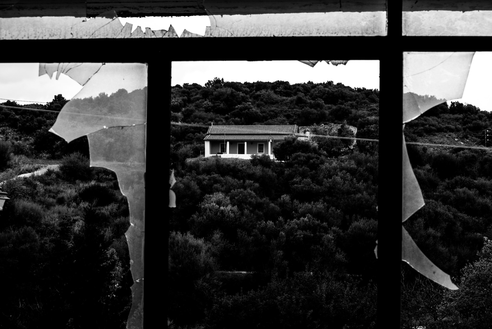 Nikon D60 sample photo. The view photography