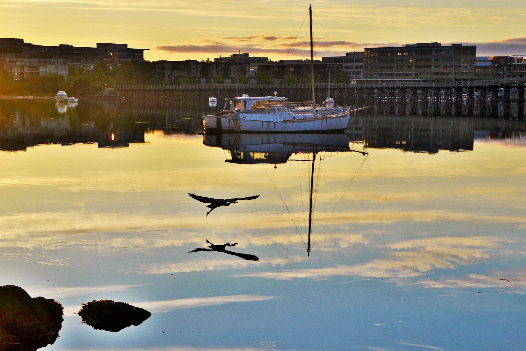 Nikon D3100 + Sigma 17-70mm F2.8-4 DC Macro OS HSM sample photo. Heron gliding across still waters of the inlet photography