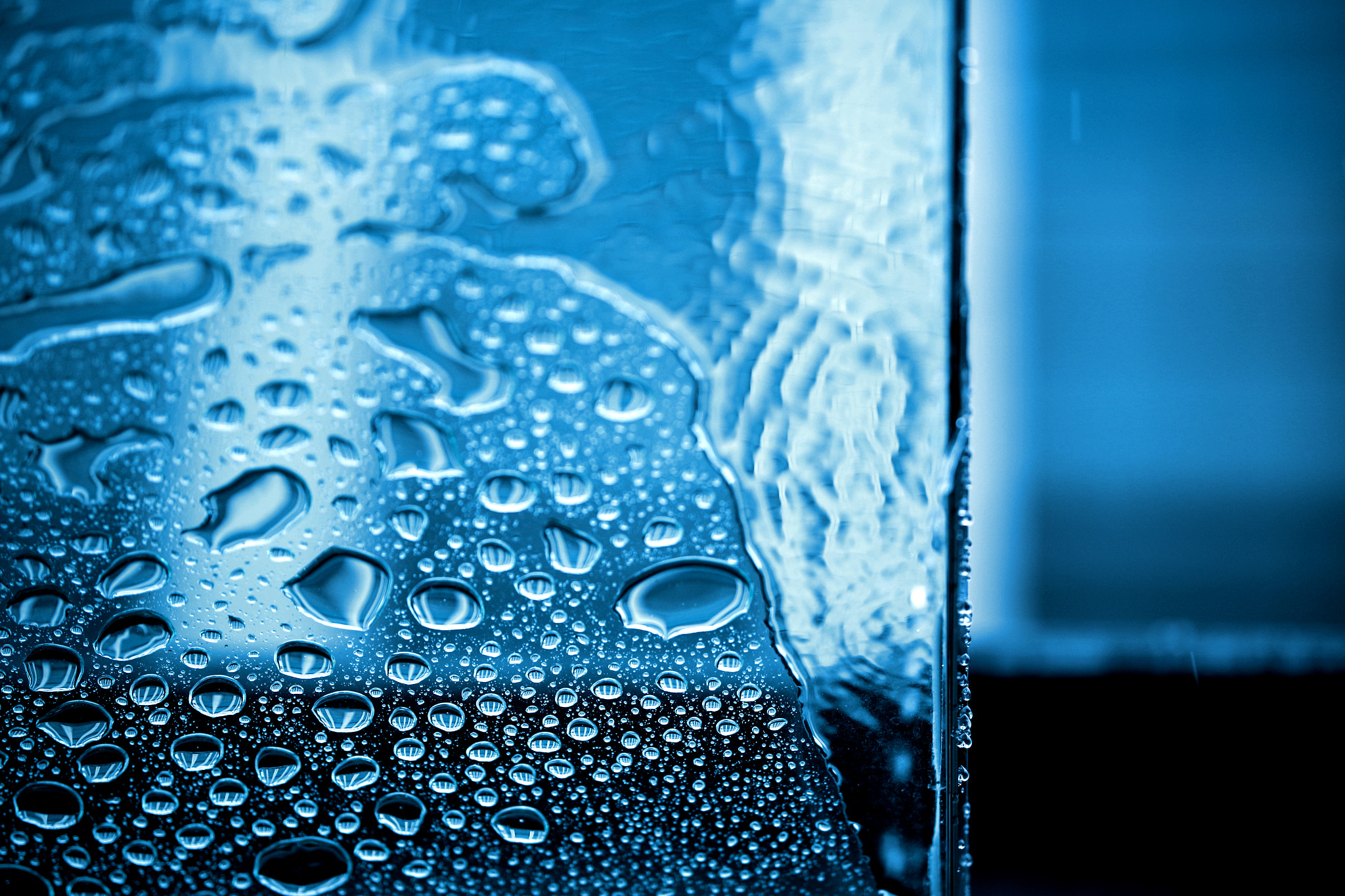 Sigma 50-100mm F1.8 DC HSM Art sample photo. Microcosm in a drop of water photography