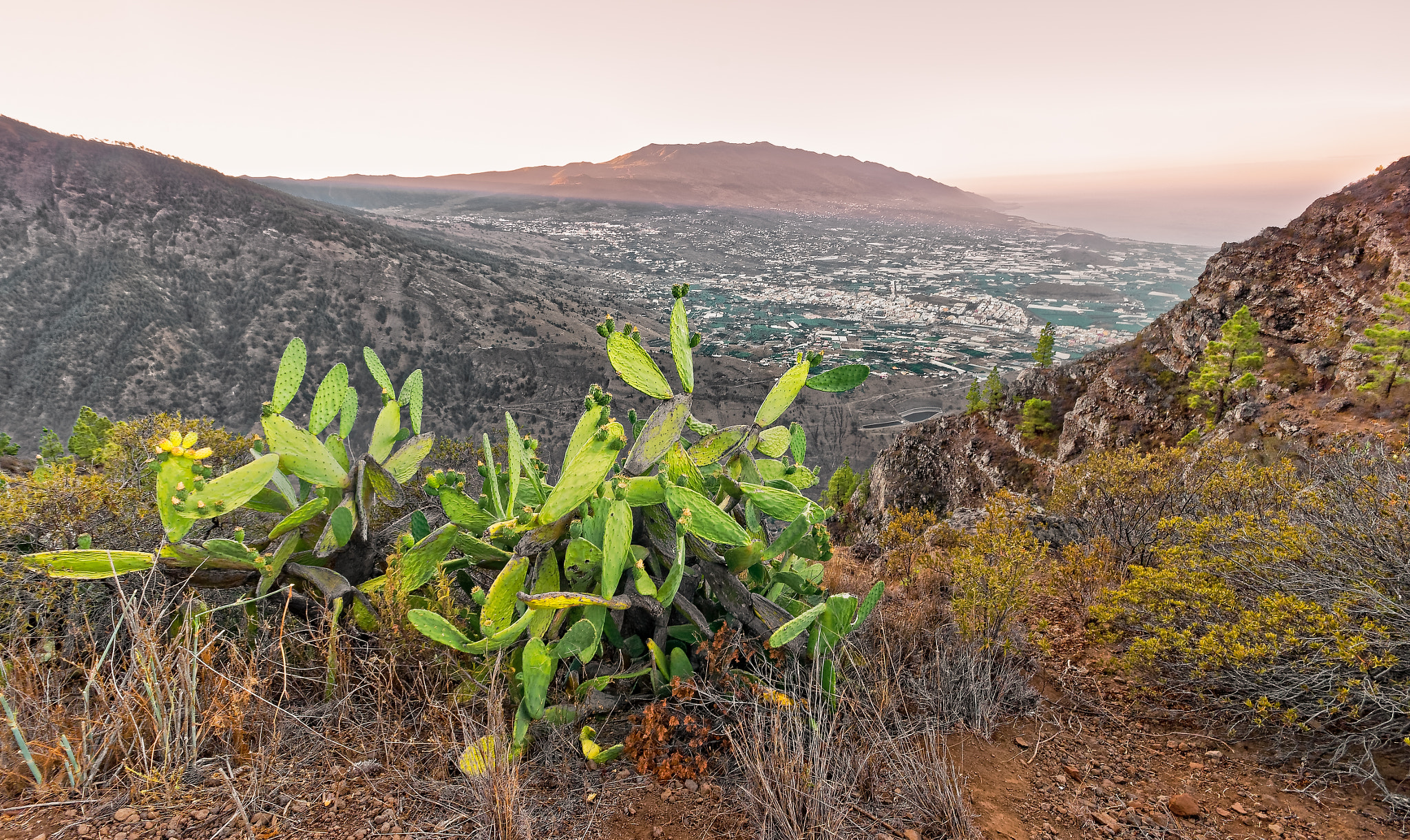 Sigma AF 10-20mm F4-5.6 EX DC sample photo. View over los llanos la palma photography