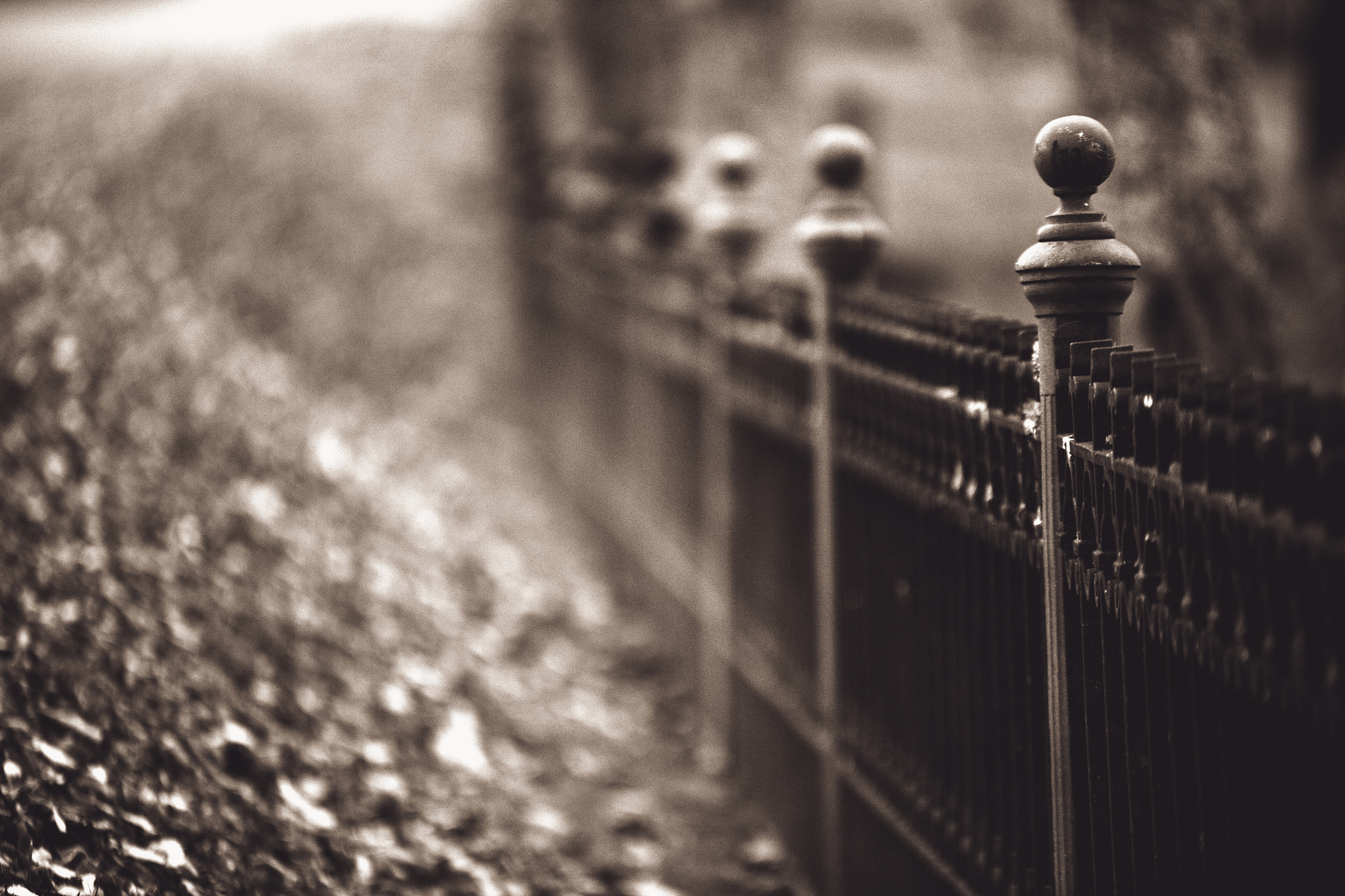 Sigma 70-200mm F2.8 EX DG OS HSM sample photo. Fence photography