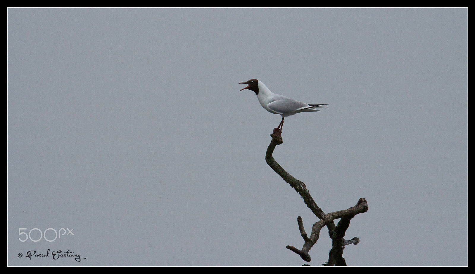 Tamron SP 150-600mm F5-6.3 Di VC USD sample photo. Landing & landing crash st quentin yvelines photography
