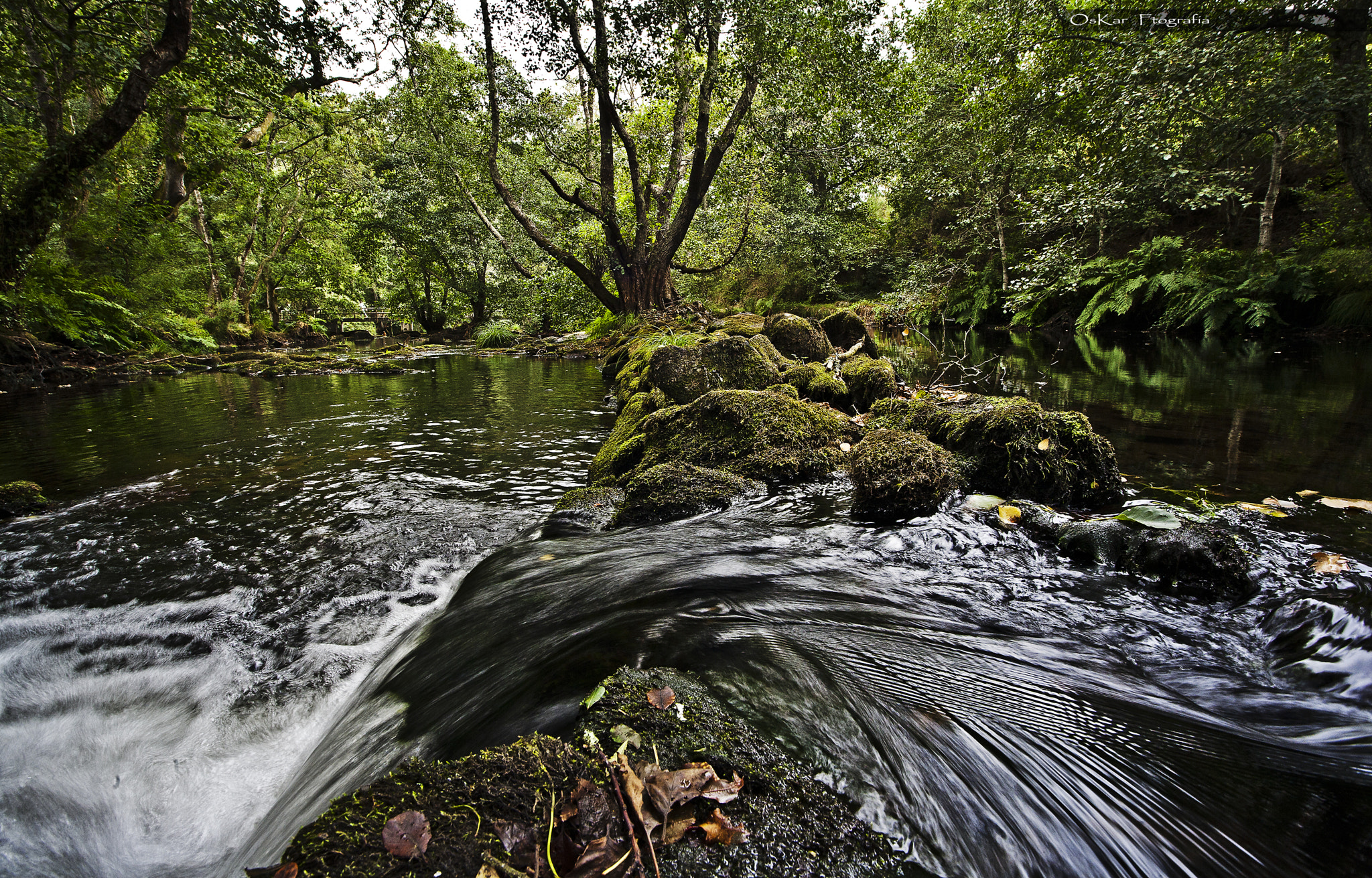 Canon EOS 5D + Sigma 15-30mm f/3.5-4.5 EX DG Aspherical sample photo. Down river photography