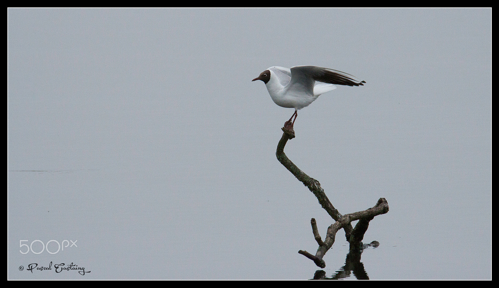 Tamron SP 150-600mm F5-6.3 Di VC USD sample photo. Landing & landing crash st quentin yvelines photography