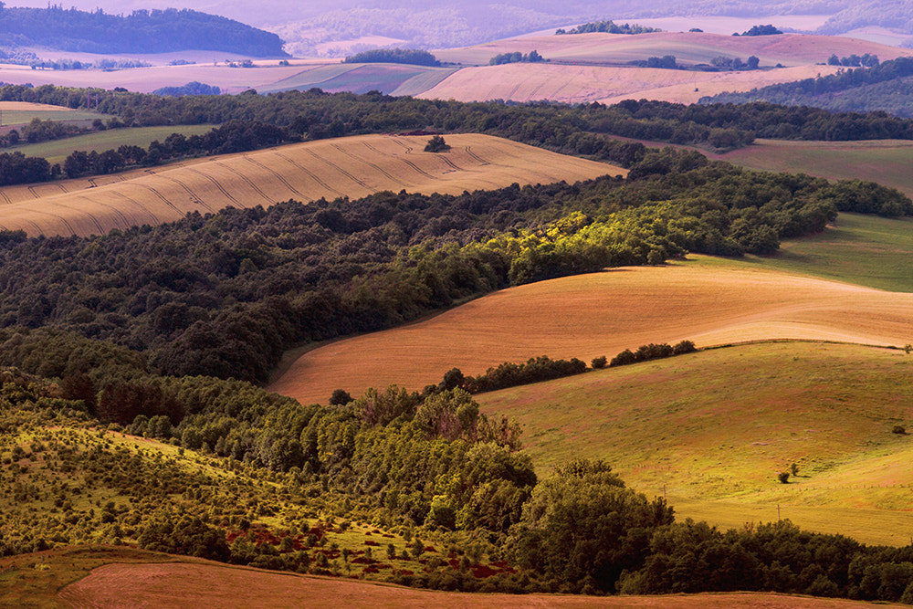 Sigma 50-500mm f/4-6.3 APO HSM EX sample photo. Pannon slopes photography