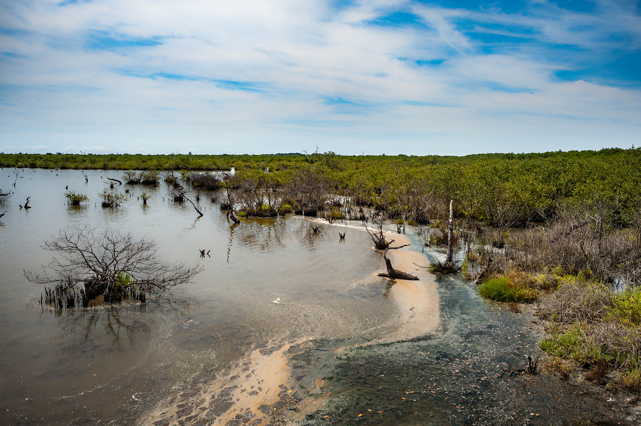 Nikon D700 + AF Nikkor 28mm f/2.8 sample photo. Wildlife refuge photography