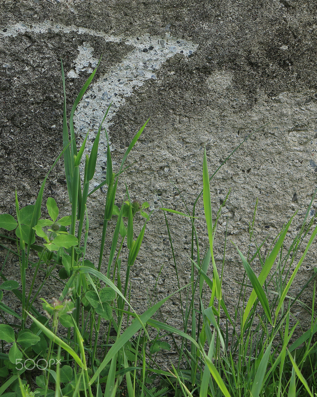 Canon EOS 100D (EOS Rebel SL1 / EOS Kiss X7) sample photo. Lucky seven number made of rocks photography