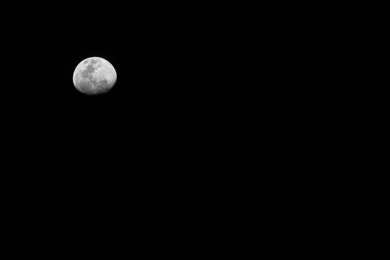 Canon EOS 1200D (EOS Rebel T5 / EOS Kiss X70 / EOS Hi) sample photo. Perfeitamente negro photography