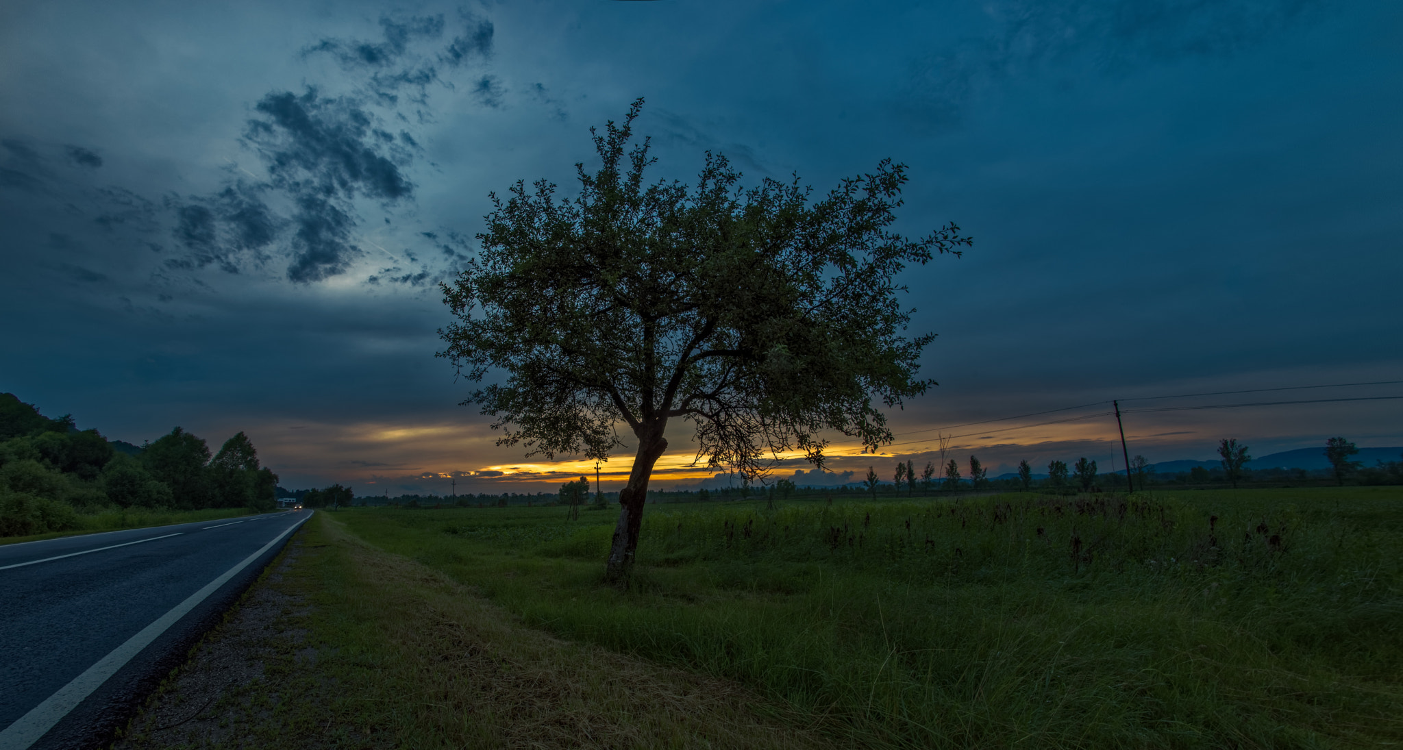 Nikon D810 + Samyang 12mm F2.8 ED AS NCS Fisheye sample photo. Under the tree photography