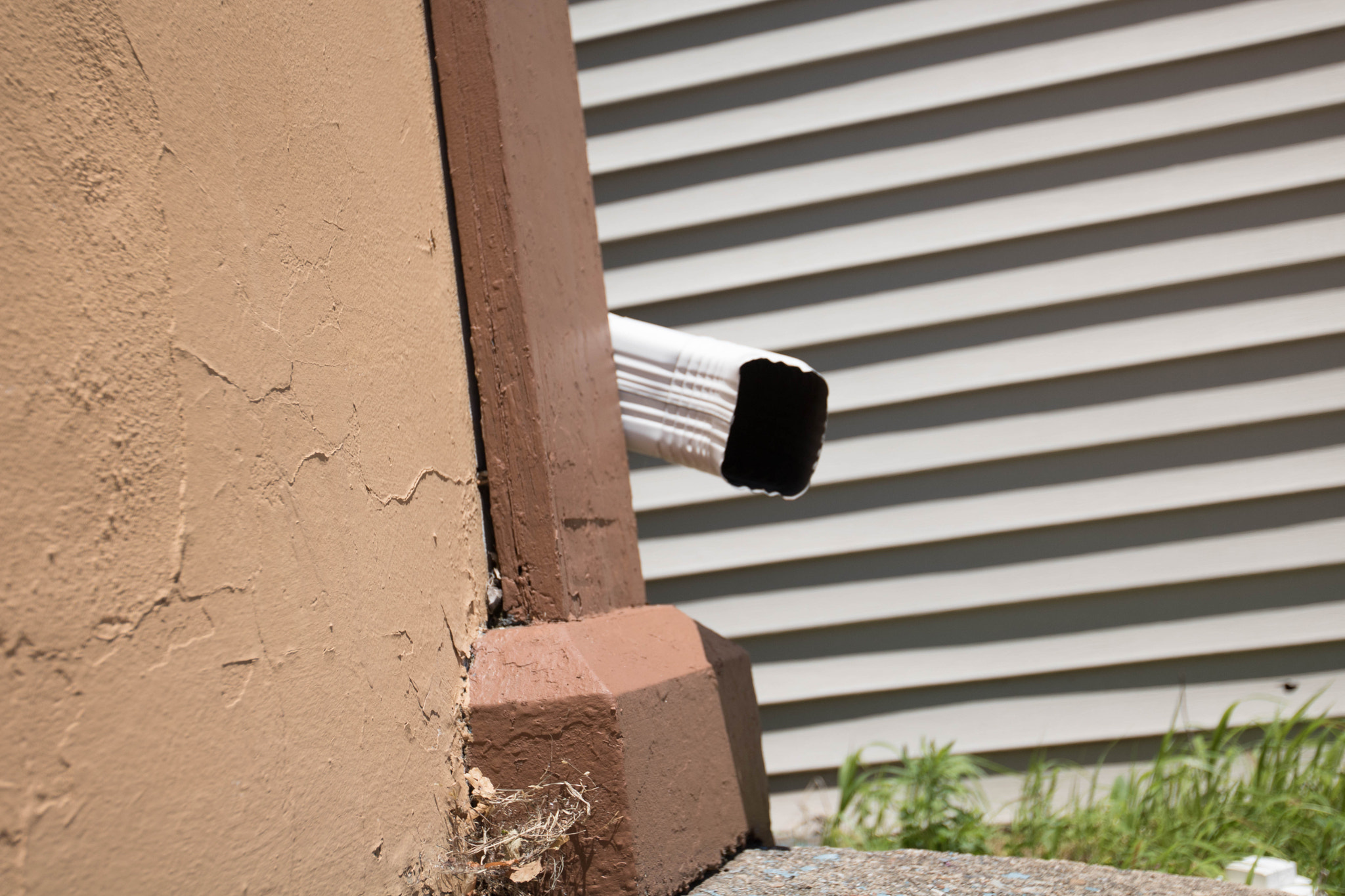Canon EOS 750D (EOS Rebel T6i / EOS Kiss X8i) sample photo. Peeking out from the corner photography