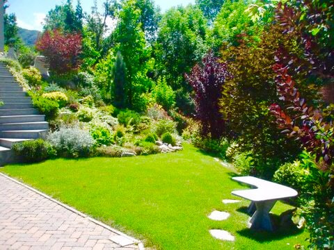 Olympus u740,S740 sample photo. Relax in giardino photography